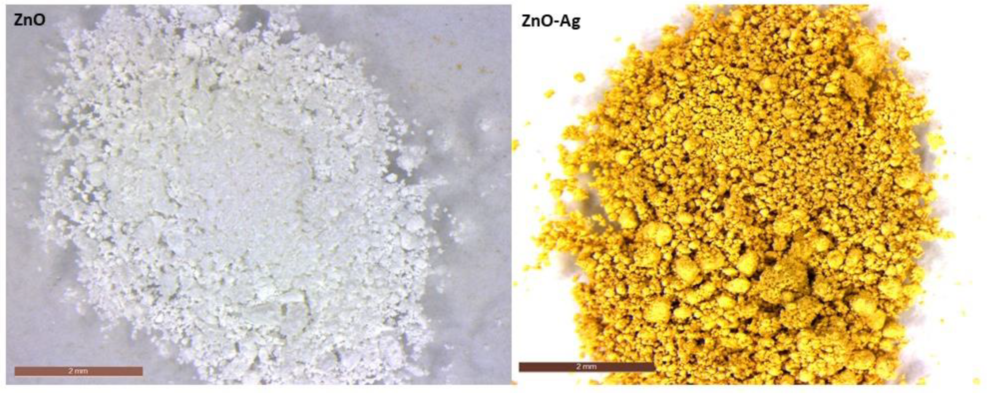 Molecules 29 03712 g004