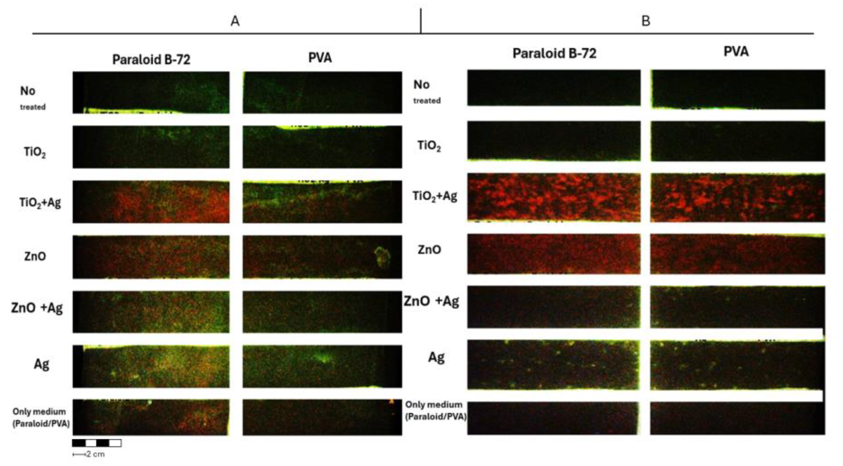 Molecules 29 03712 g006