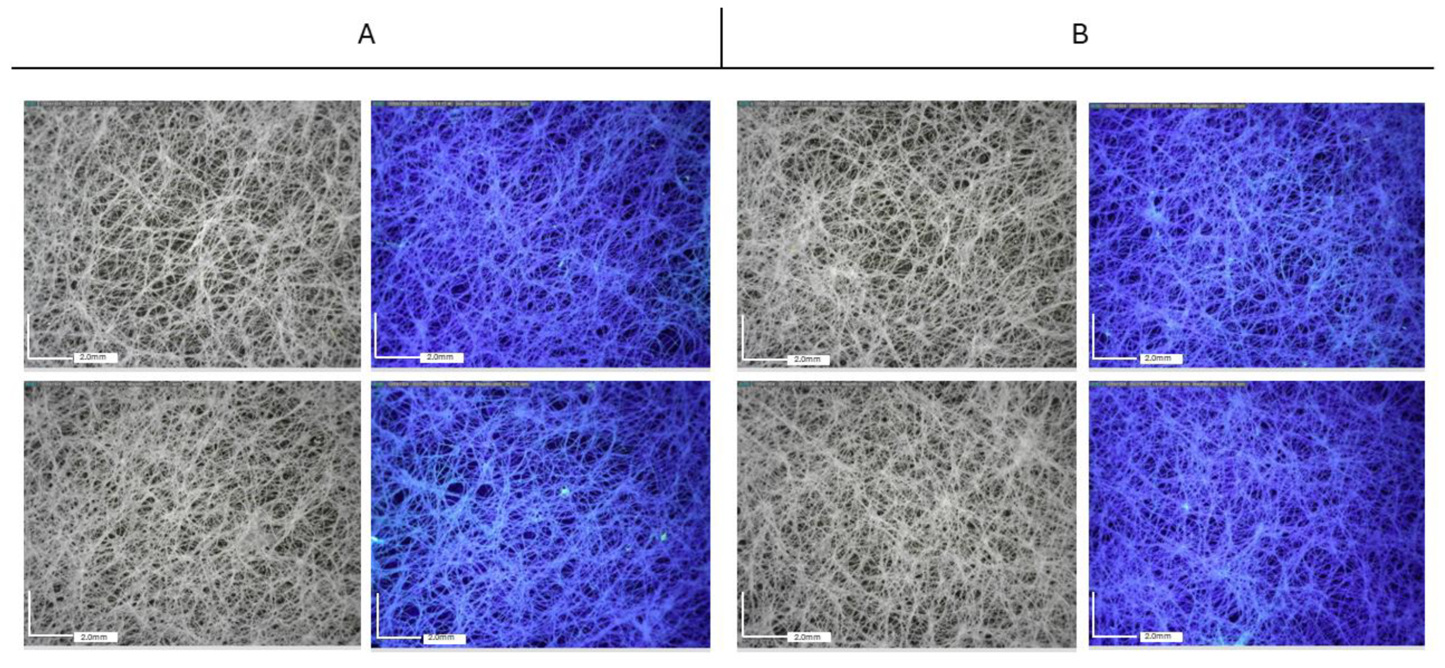 Molecules 29 03712 g007