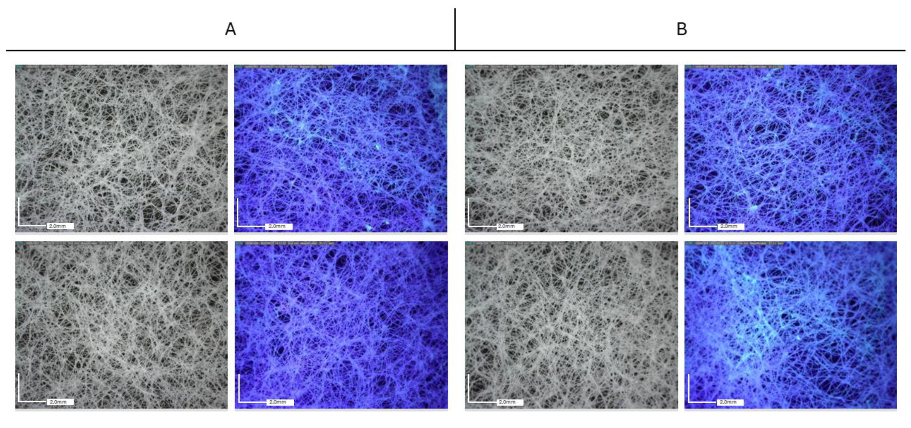 Molecules 29 03712 g008