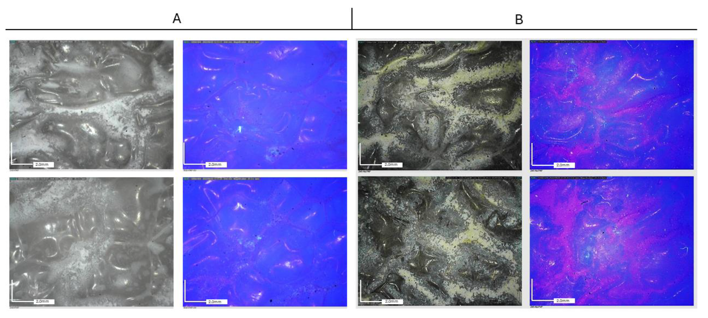 Molecules 29 03712 g010