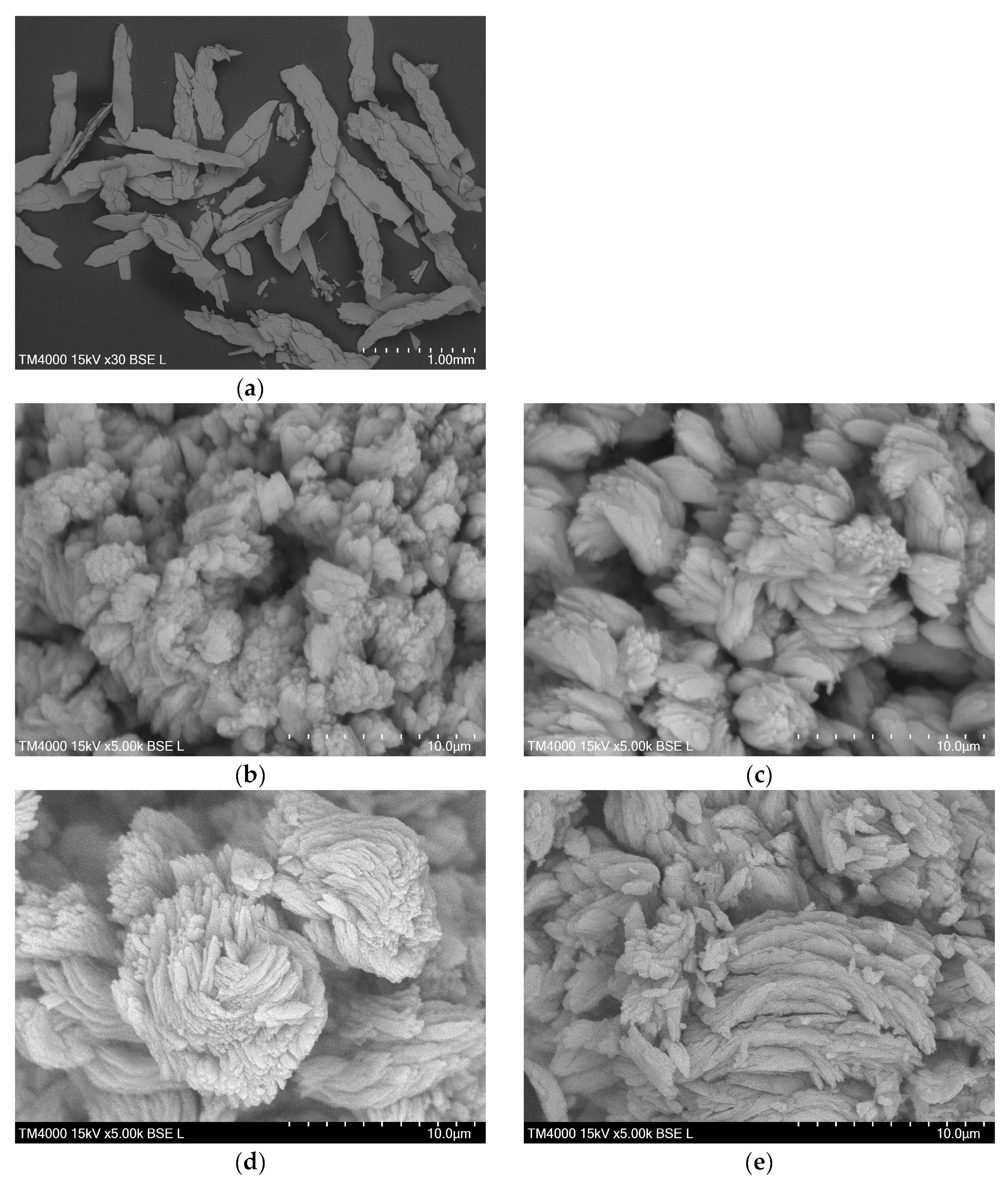 Molecules 29 03713 g003