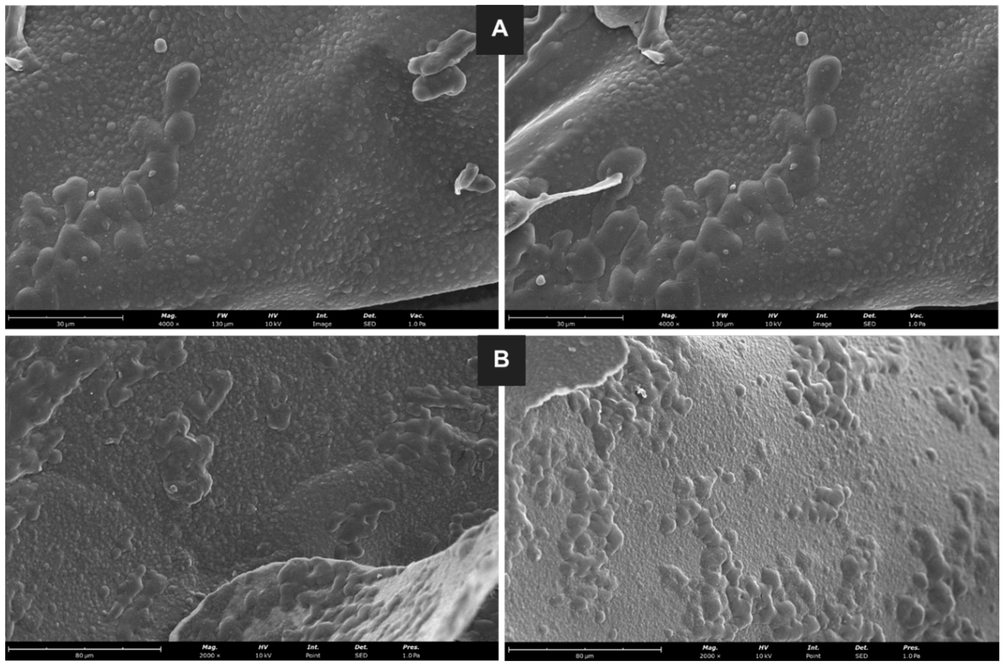 Molecules 29 03717 g006