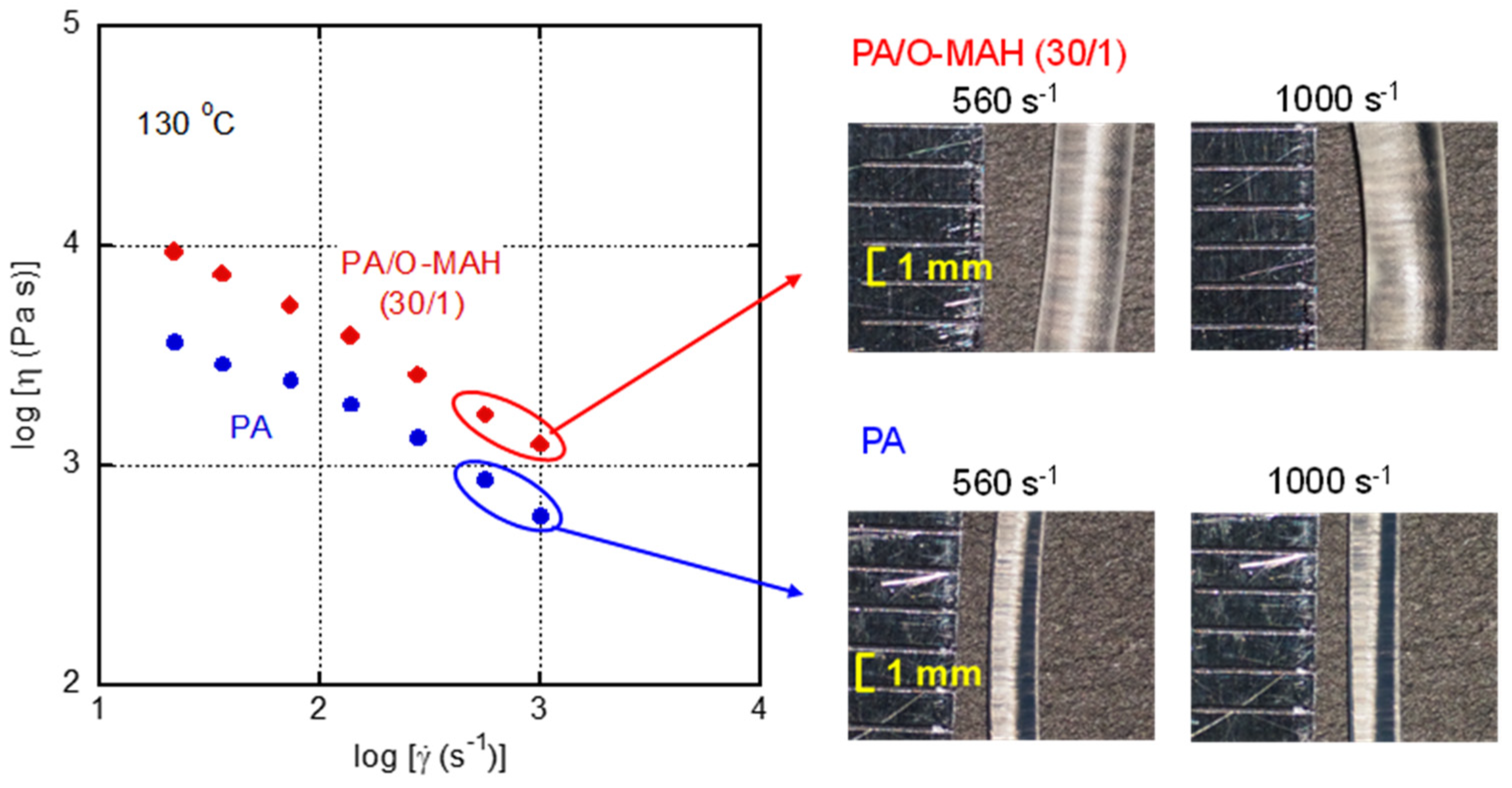 Molecules 29 03730 g010