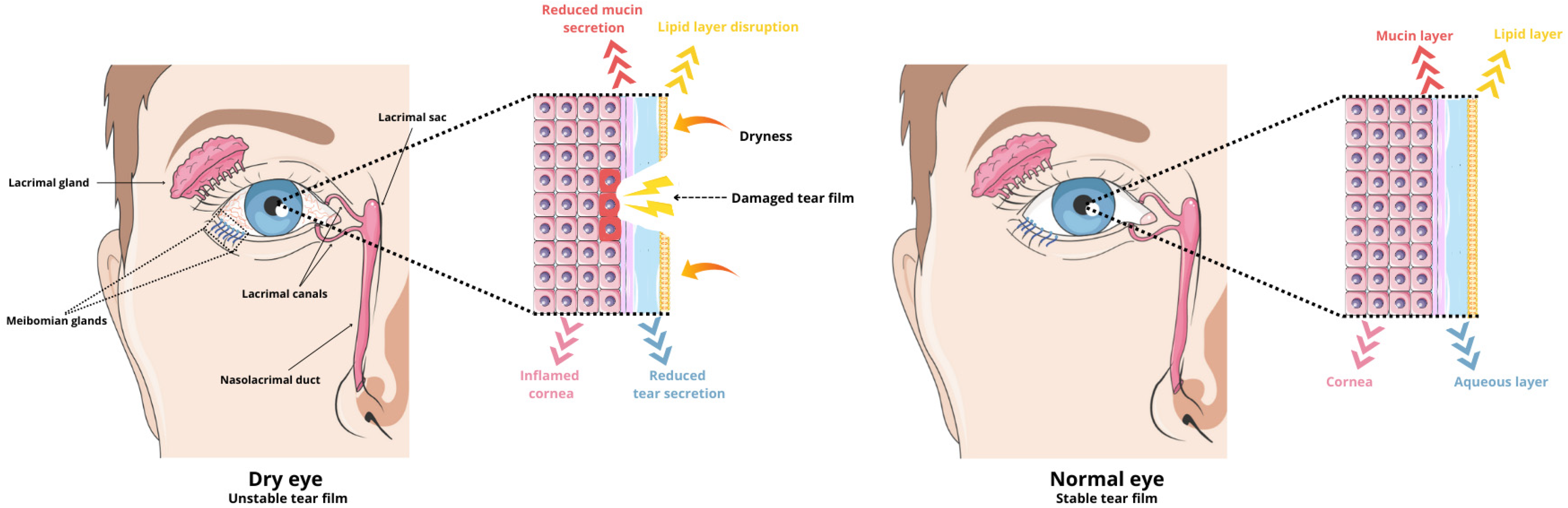 Molecules 29 03732 g001