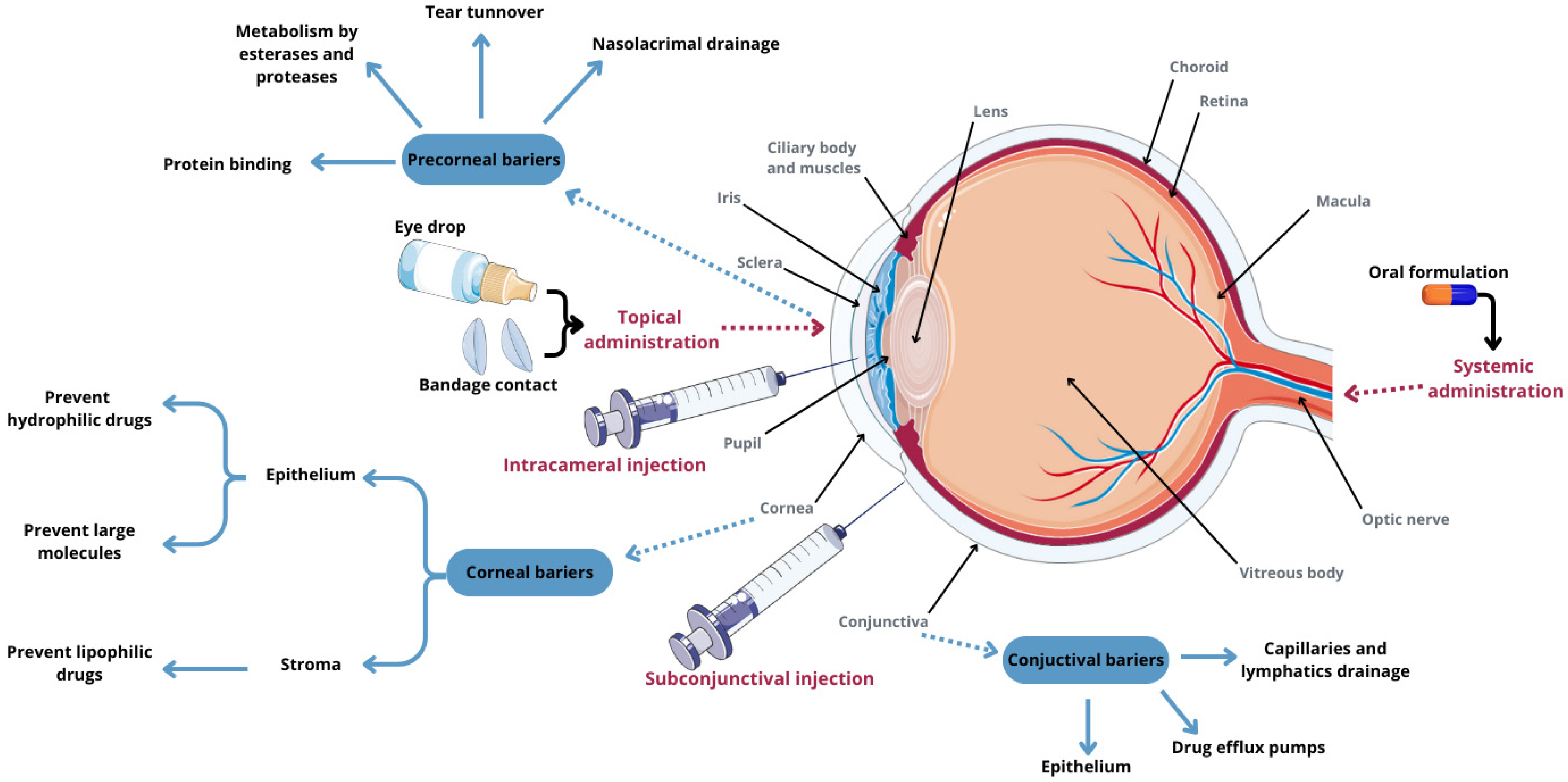 Molecules 29 03732 g002