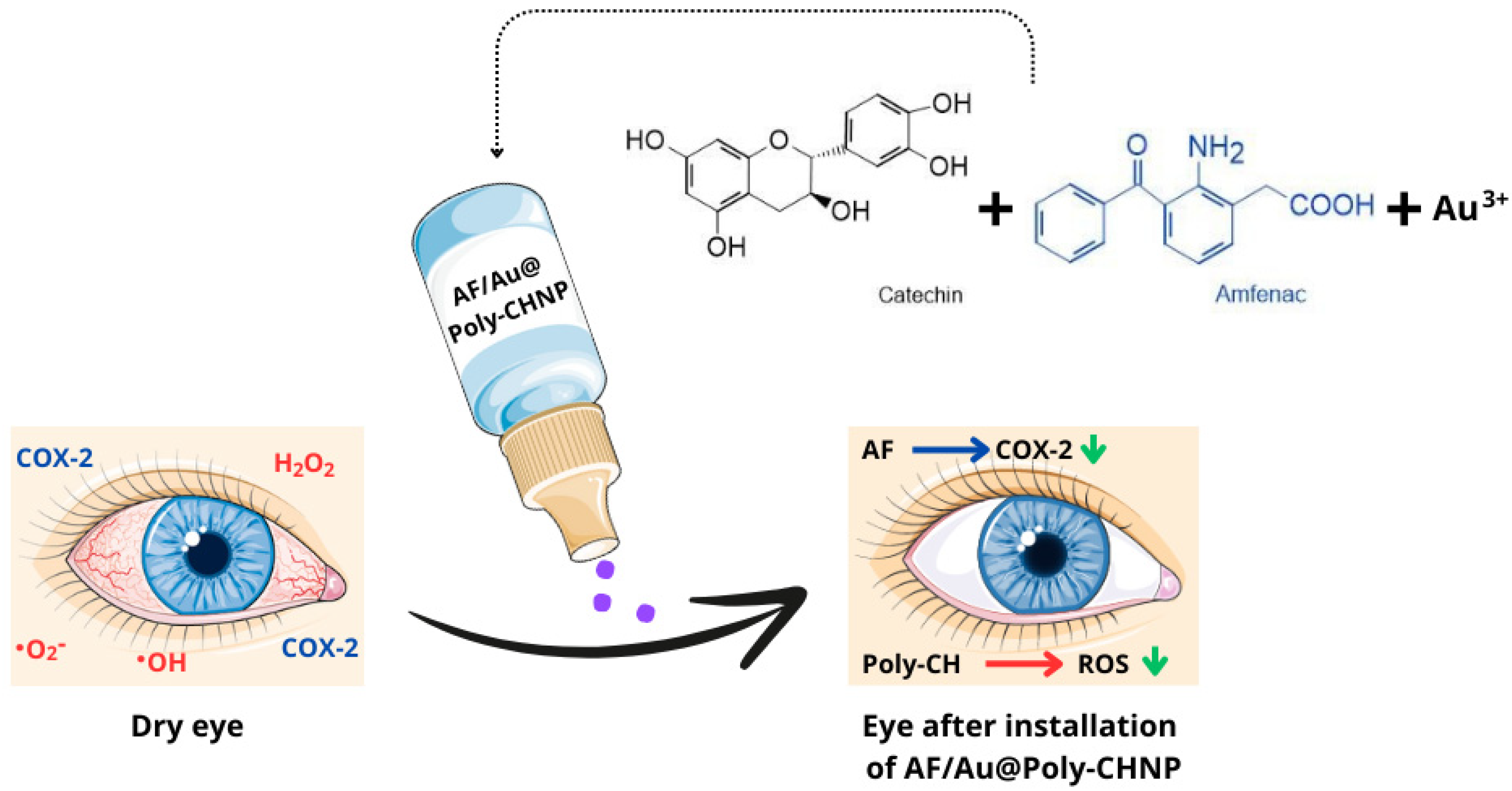 Molecules 29 03732 g005