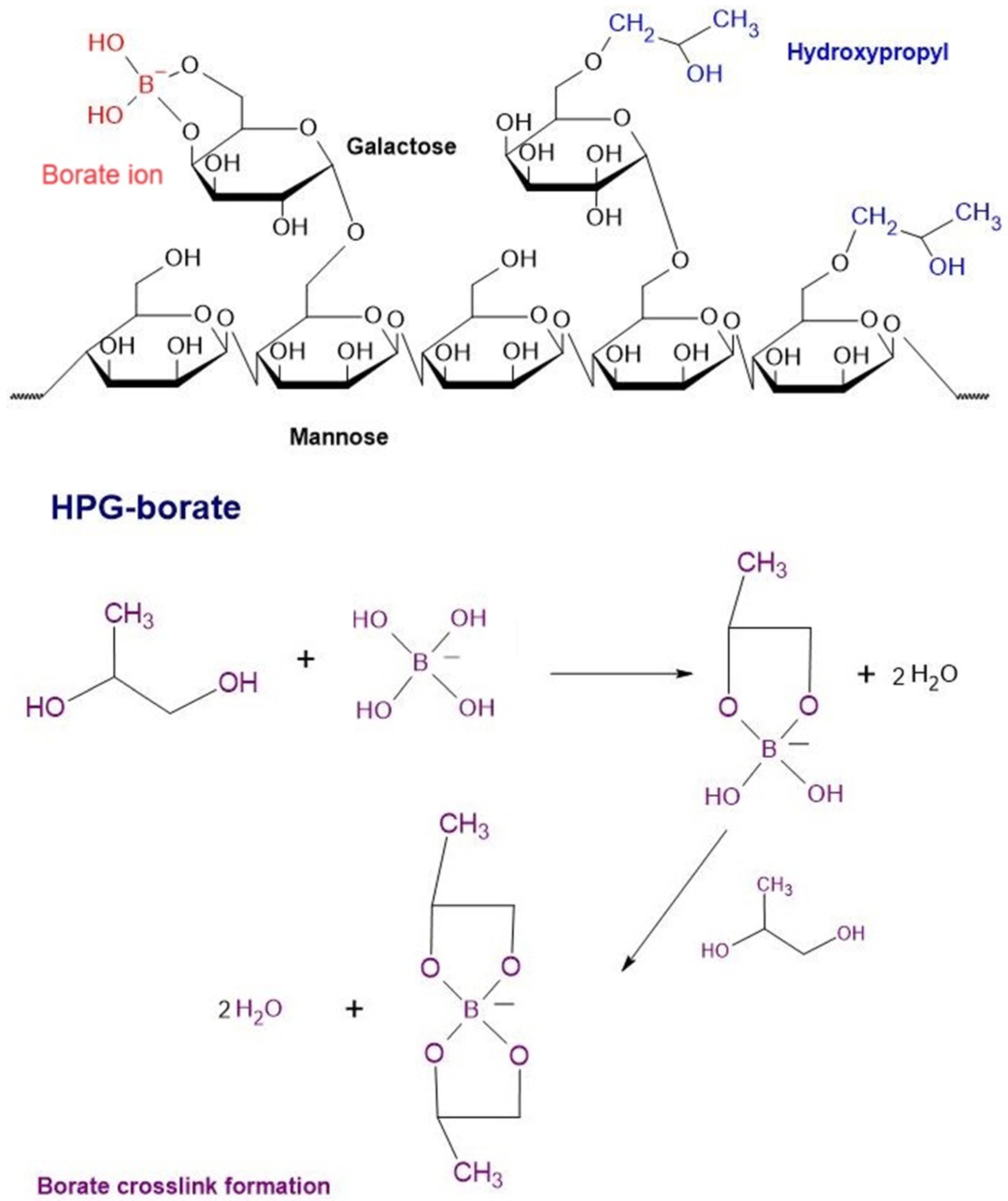 Molecules 29 03732 g008