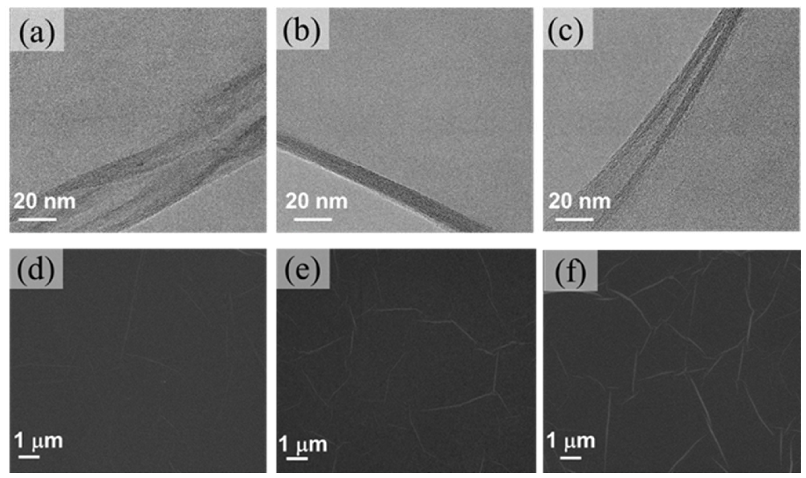 Molecules 29 03741 g003