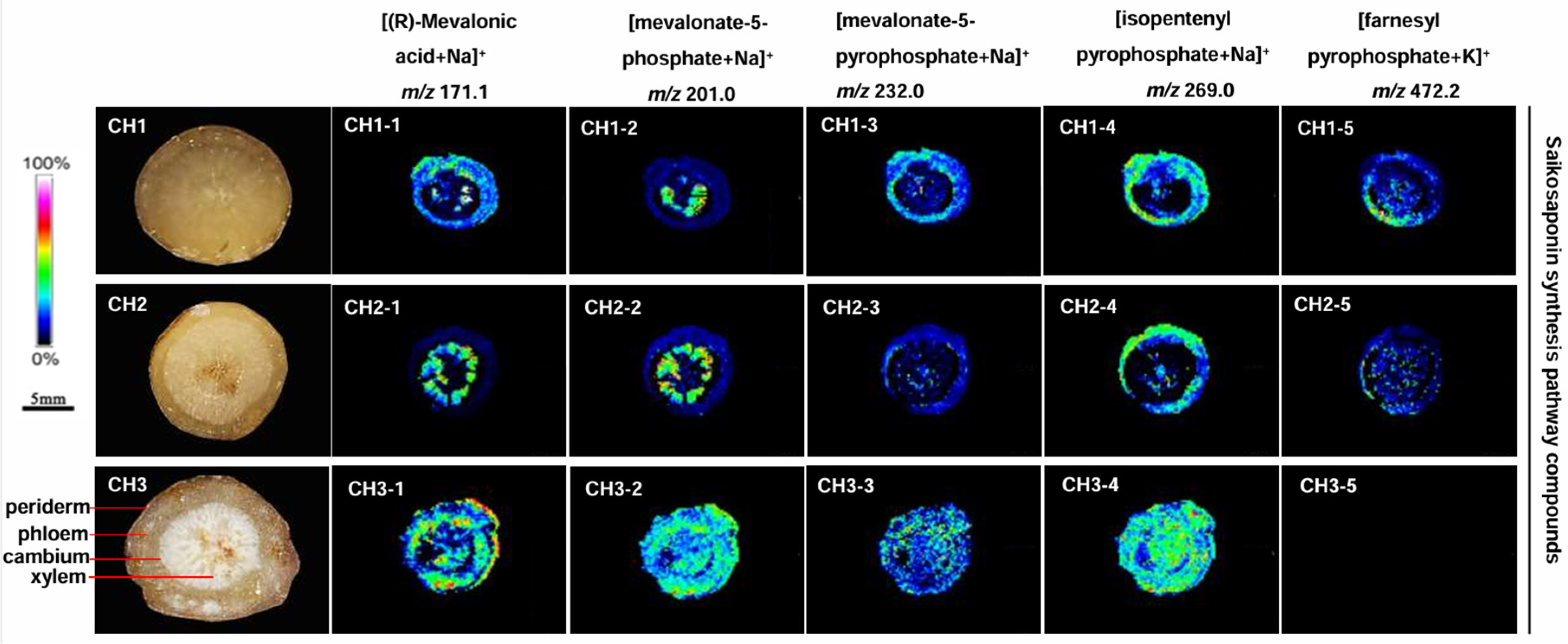 Molecules 29 03746 g005