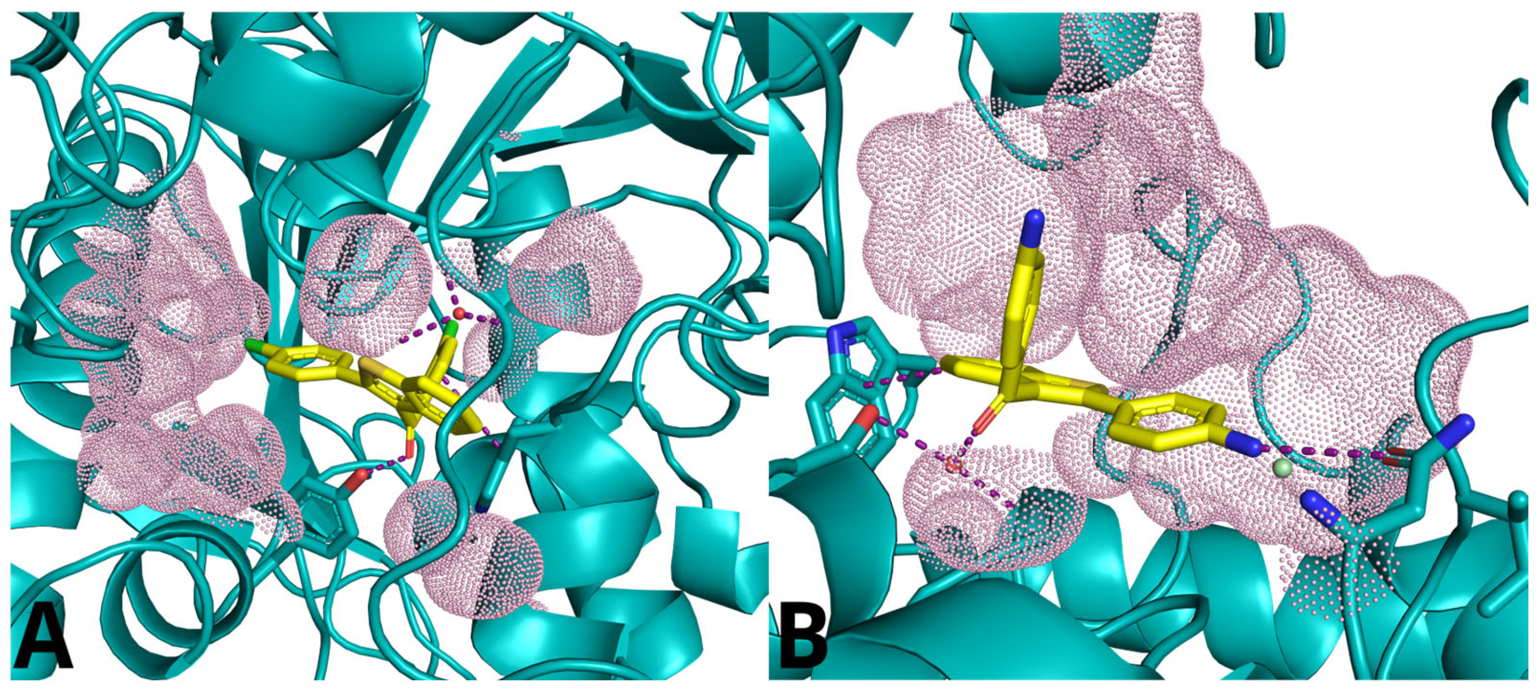 Molecules 29 03748 g012