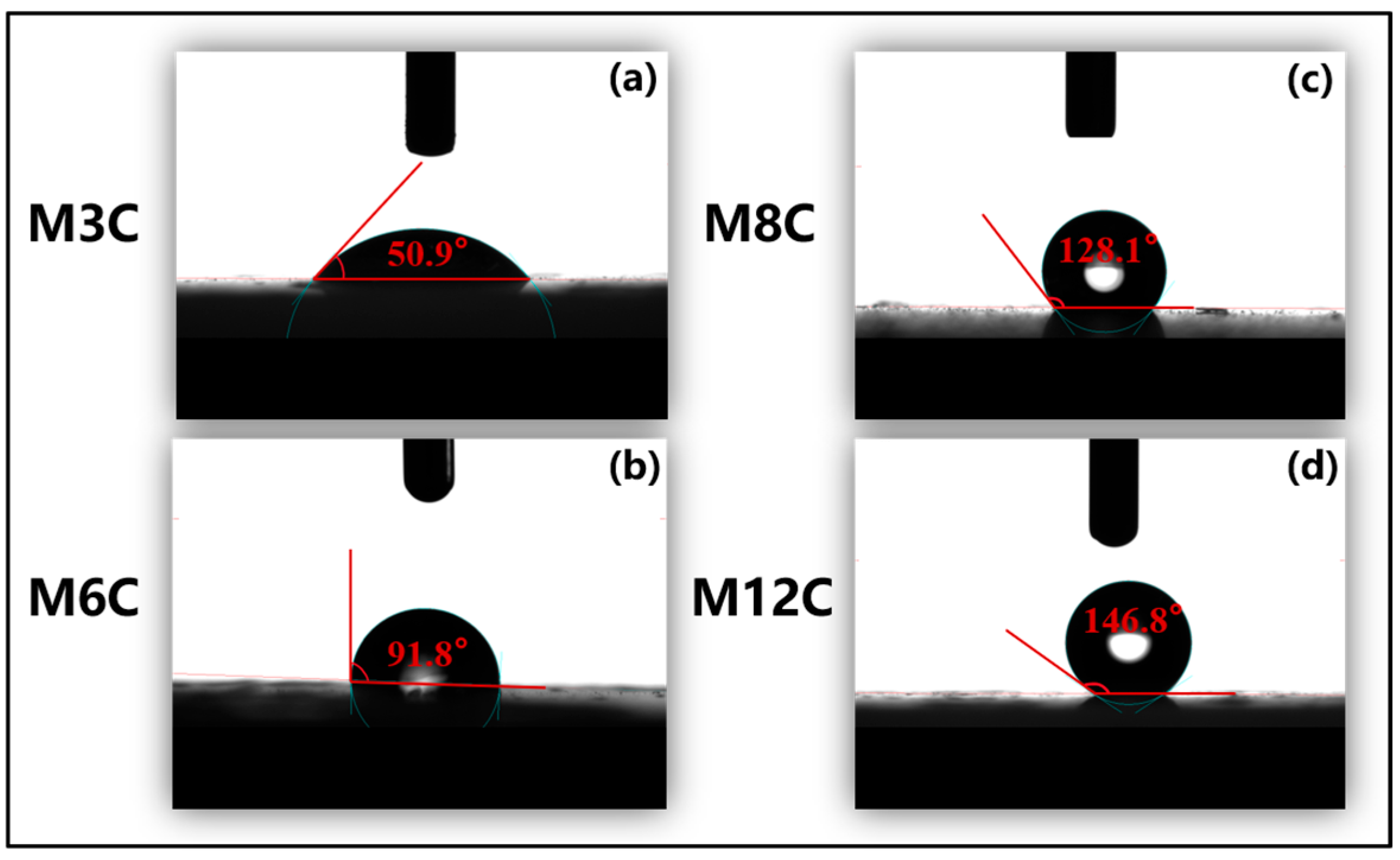 Molecules 29 03749 g002