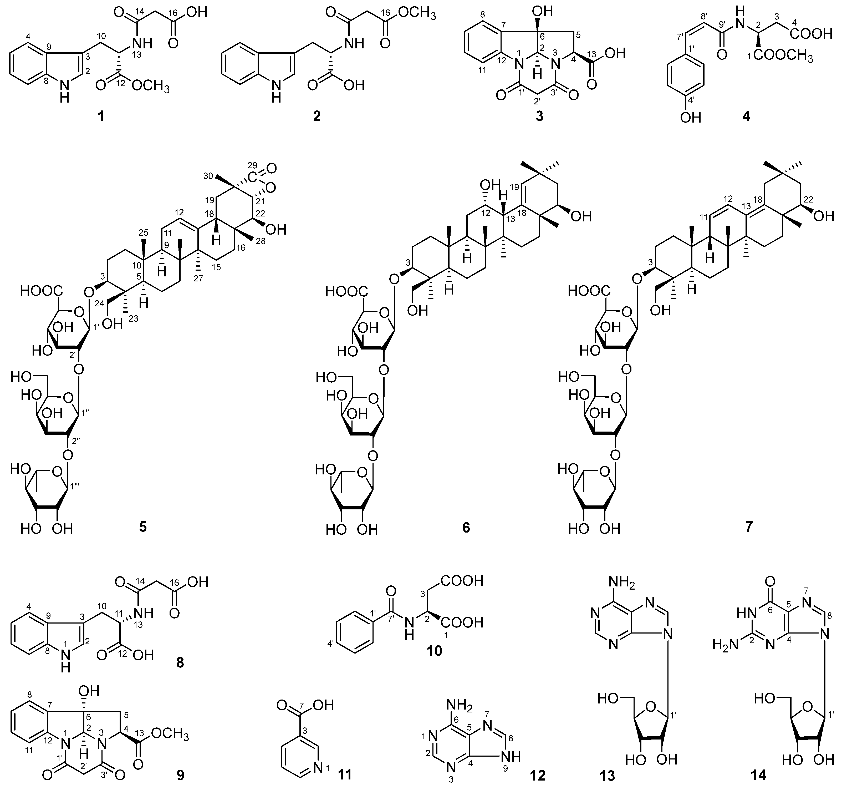 Molecules 29 03751 g001