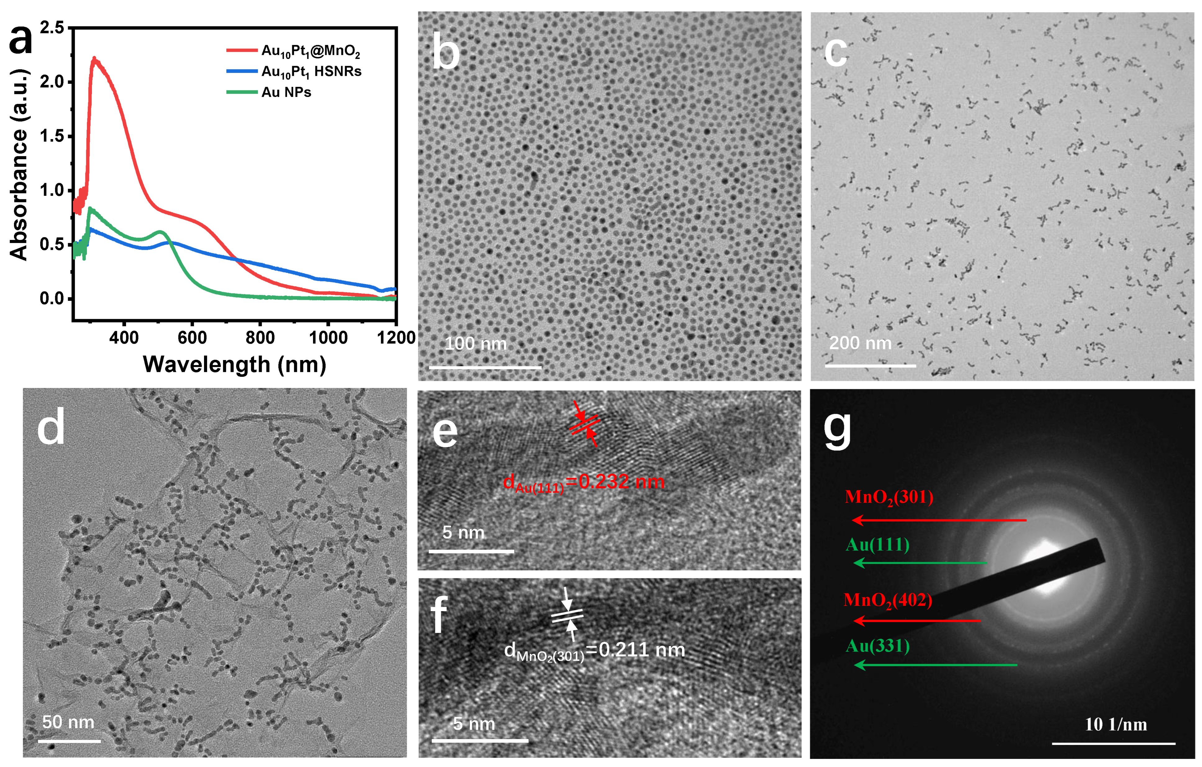 Molecules 29 03753 g001