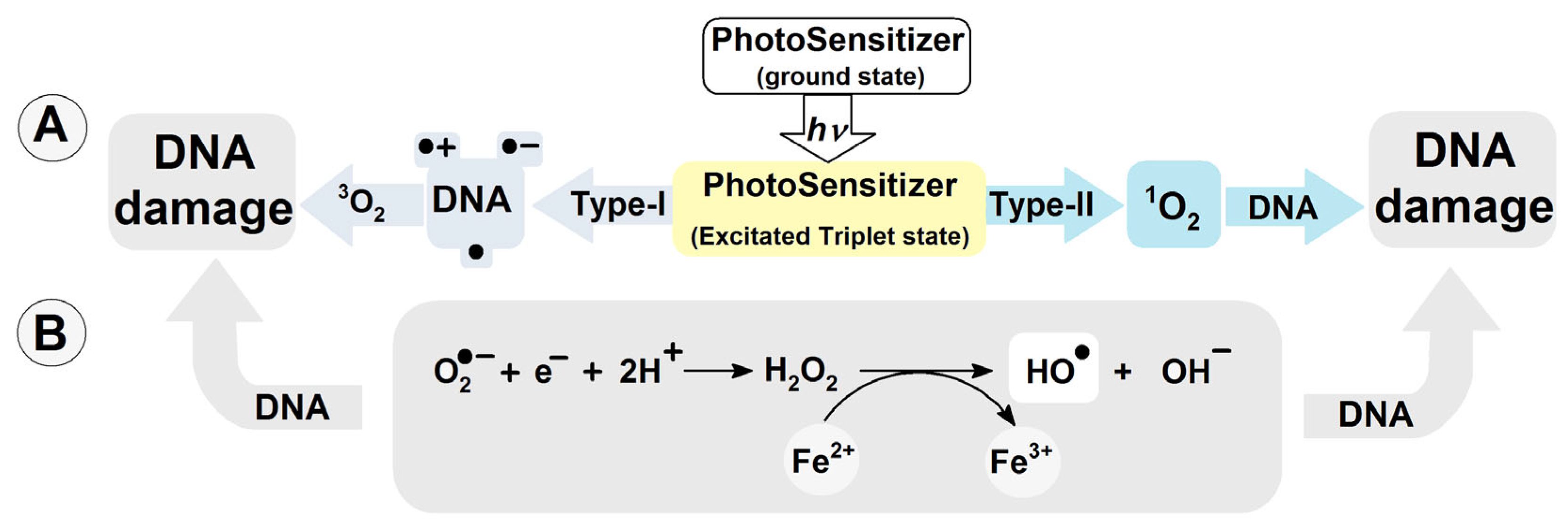 Molecules 29 03756 g001 Molecules 29 03756 g001