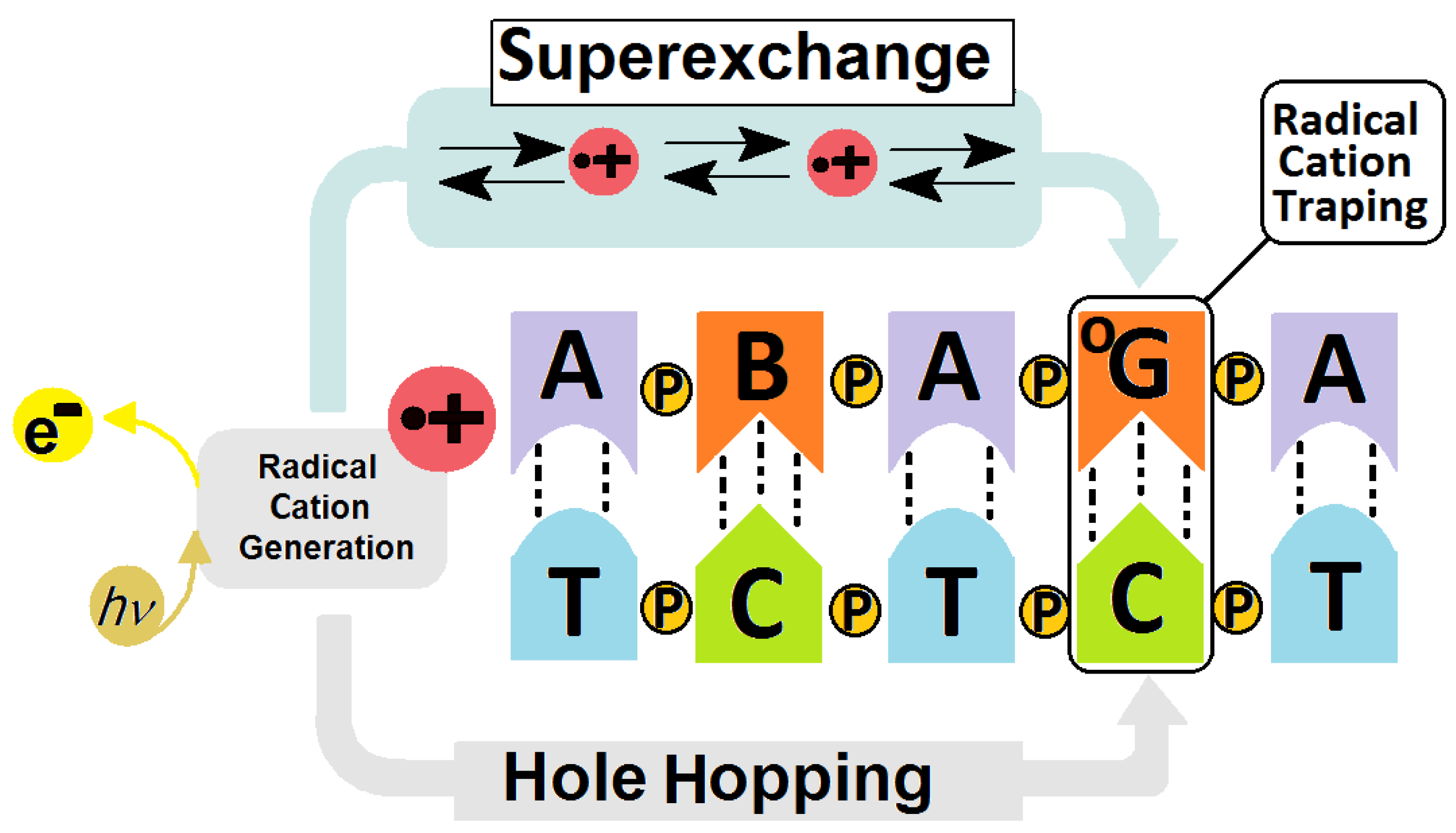 Molecules 29 03756 g002 Molecules 29 03756 g002