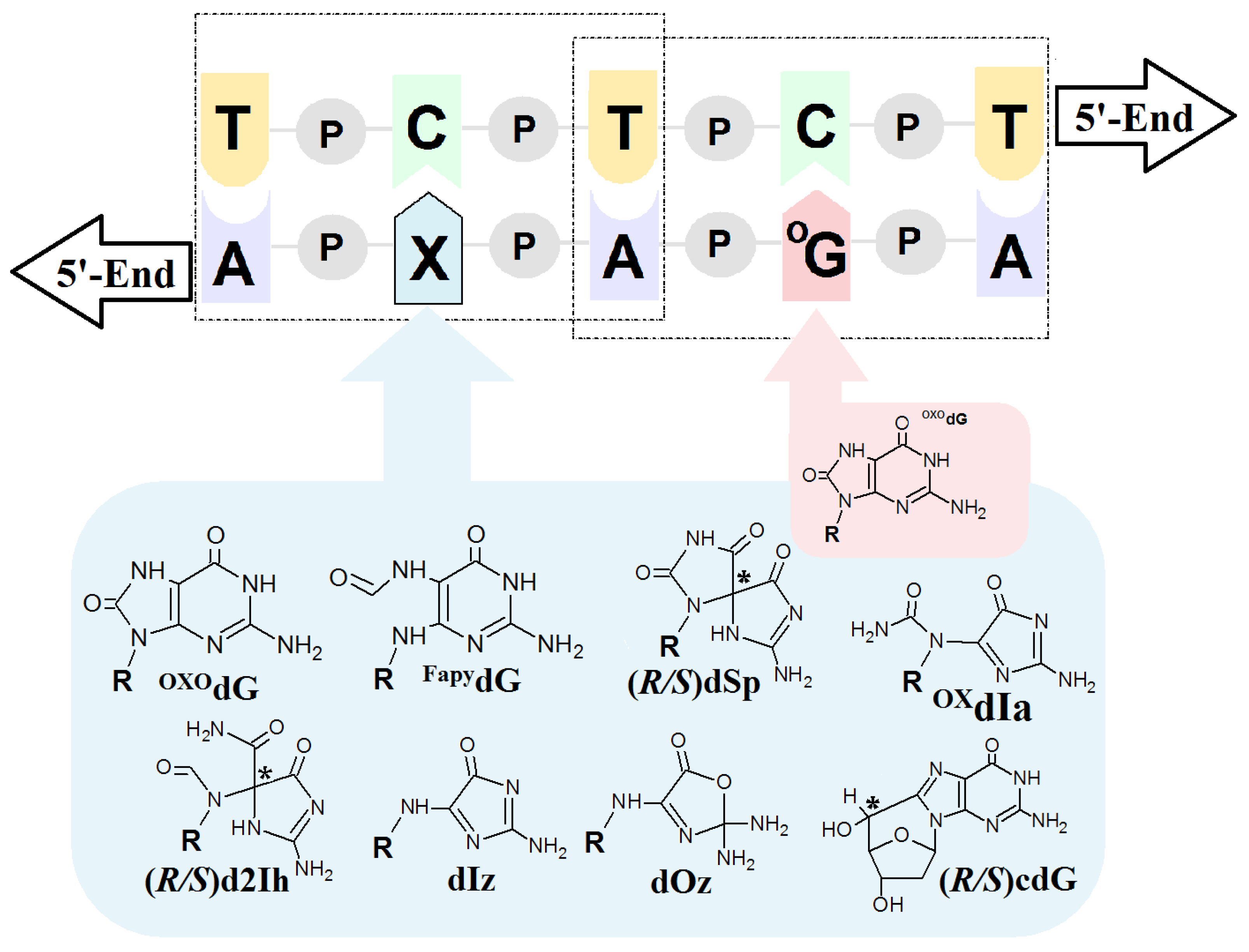 Molecules 29 03756 g003 Molecules 29 03756 g003