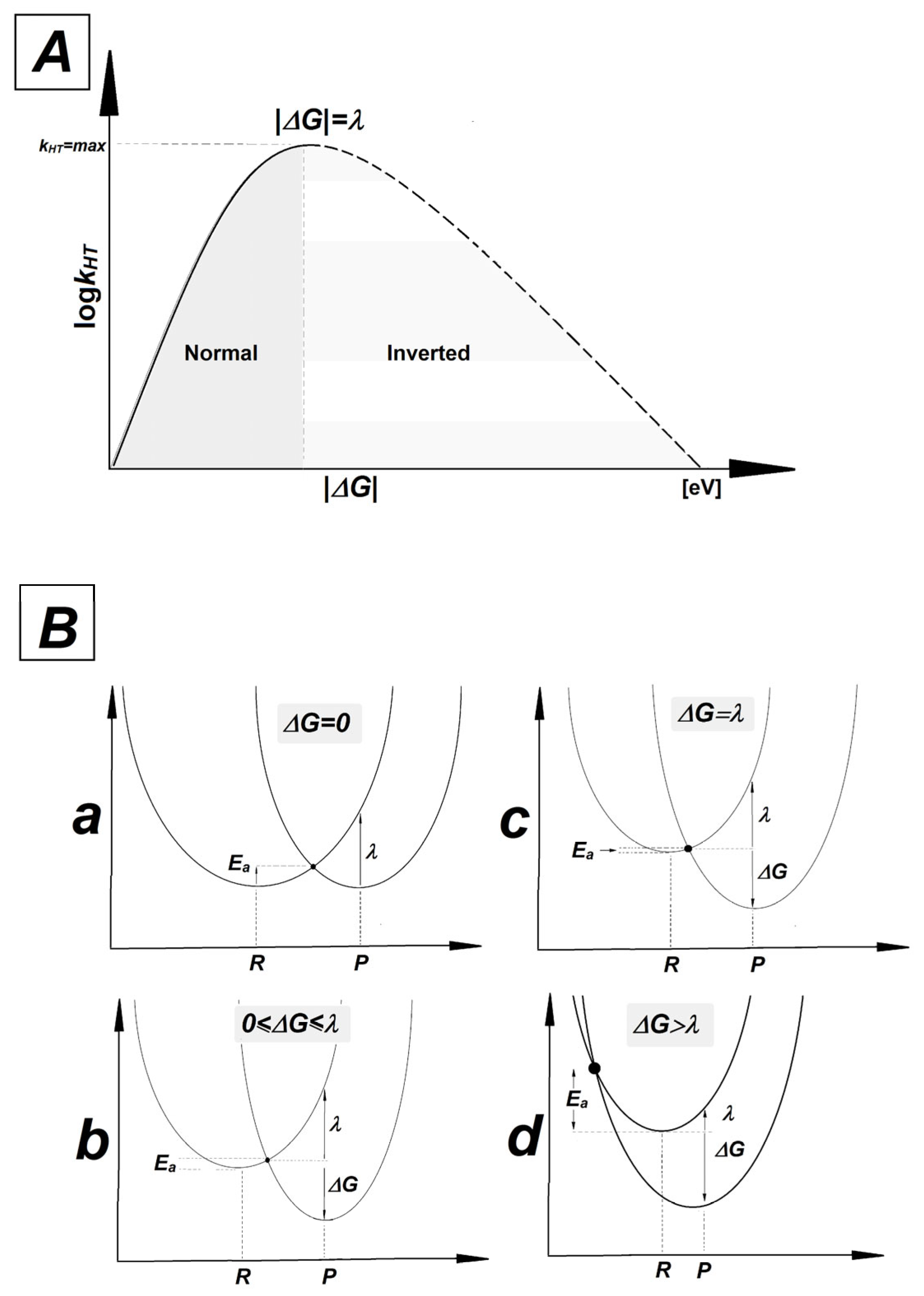 Molecules 29 03756 g004 Molecules 29 03756 g004