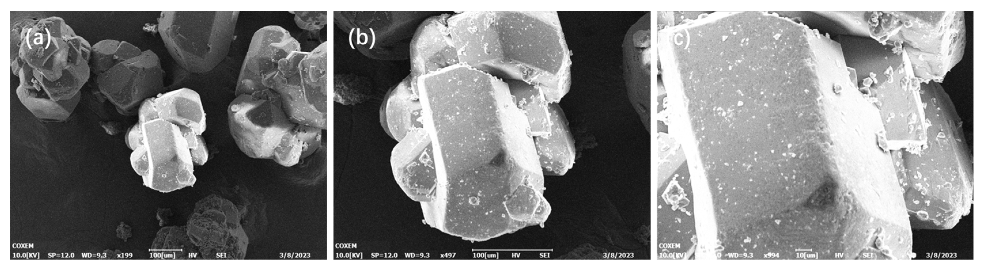 Molecules 29 03757 g004