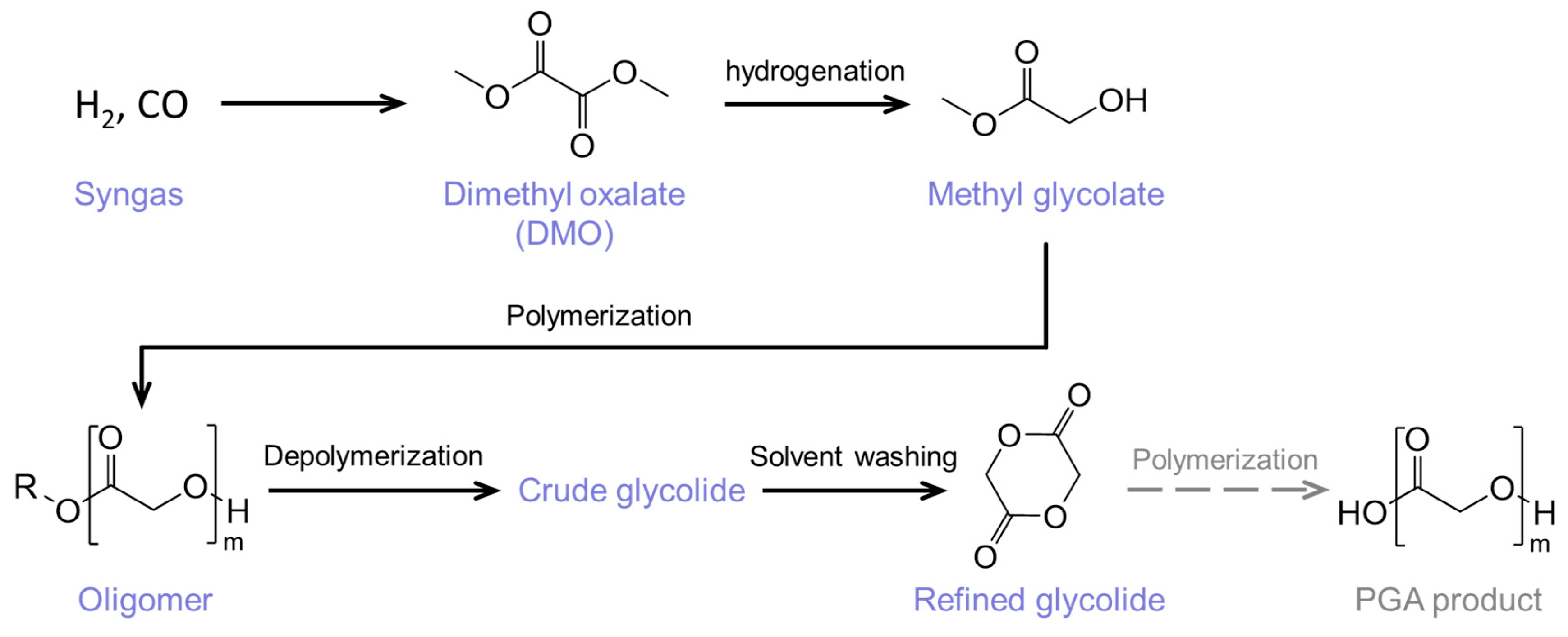 Molecules 29 03759 g005