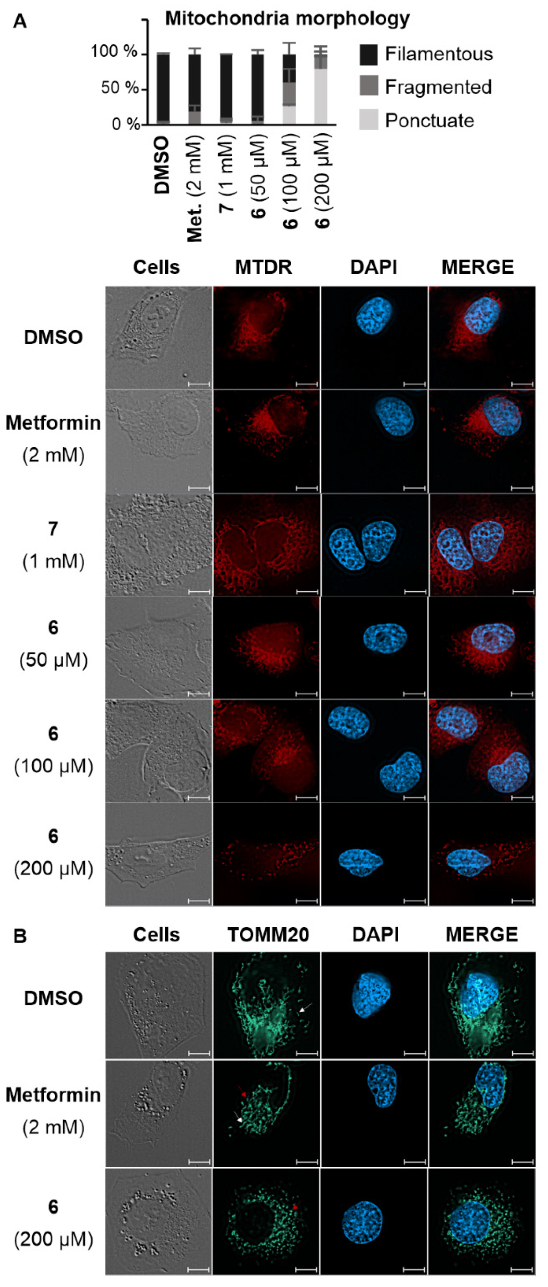 Molecules 29 03773 g003