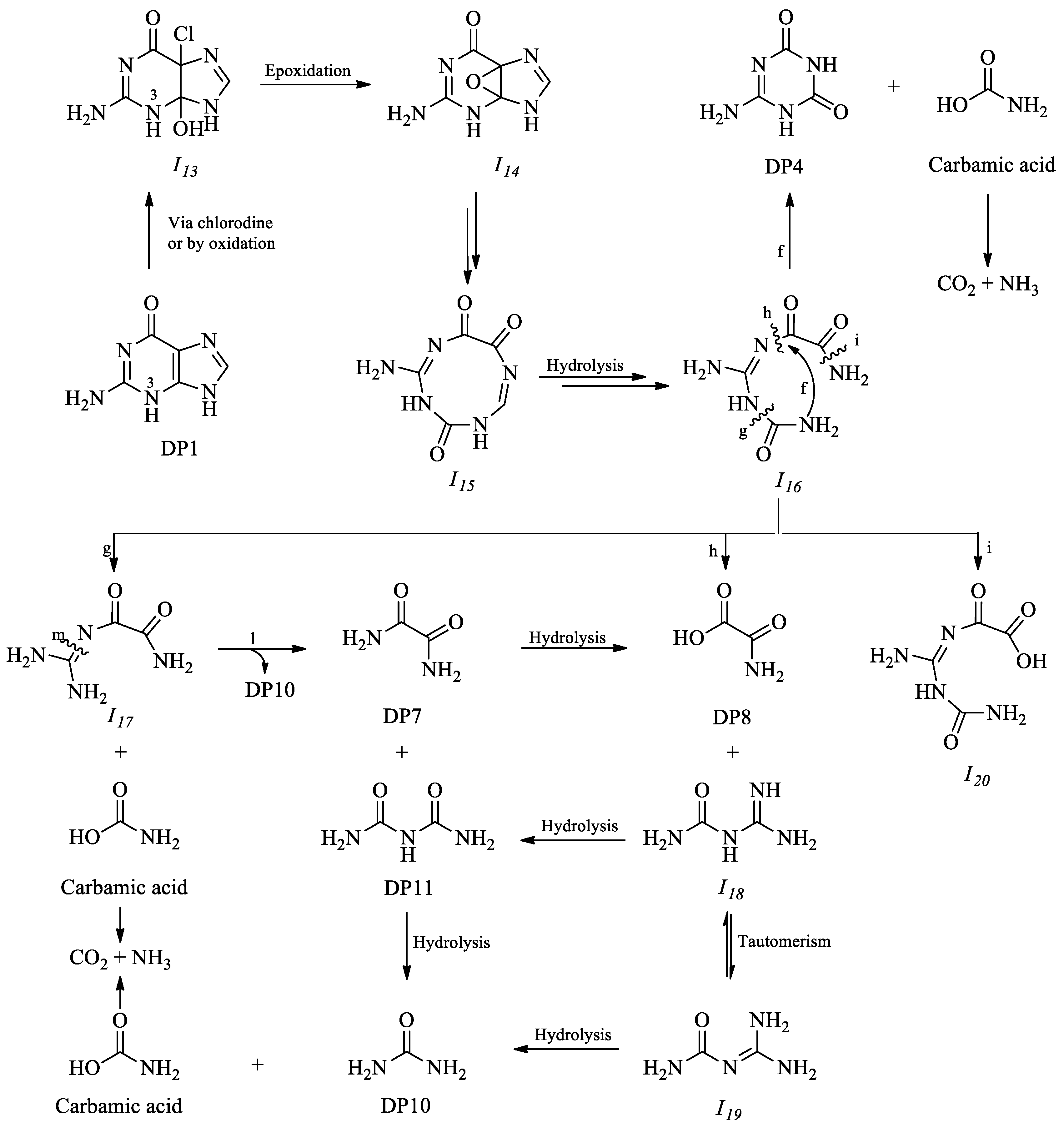 Molecules 29 03783 g003
