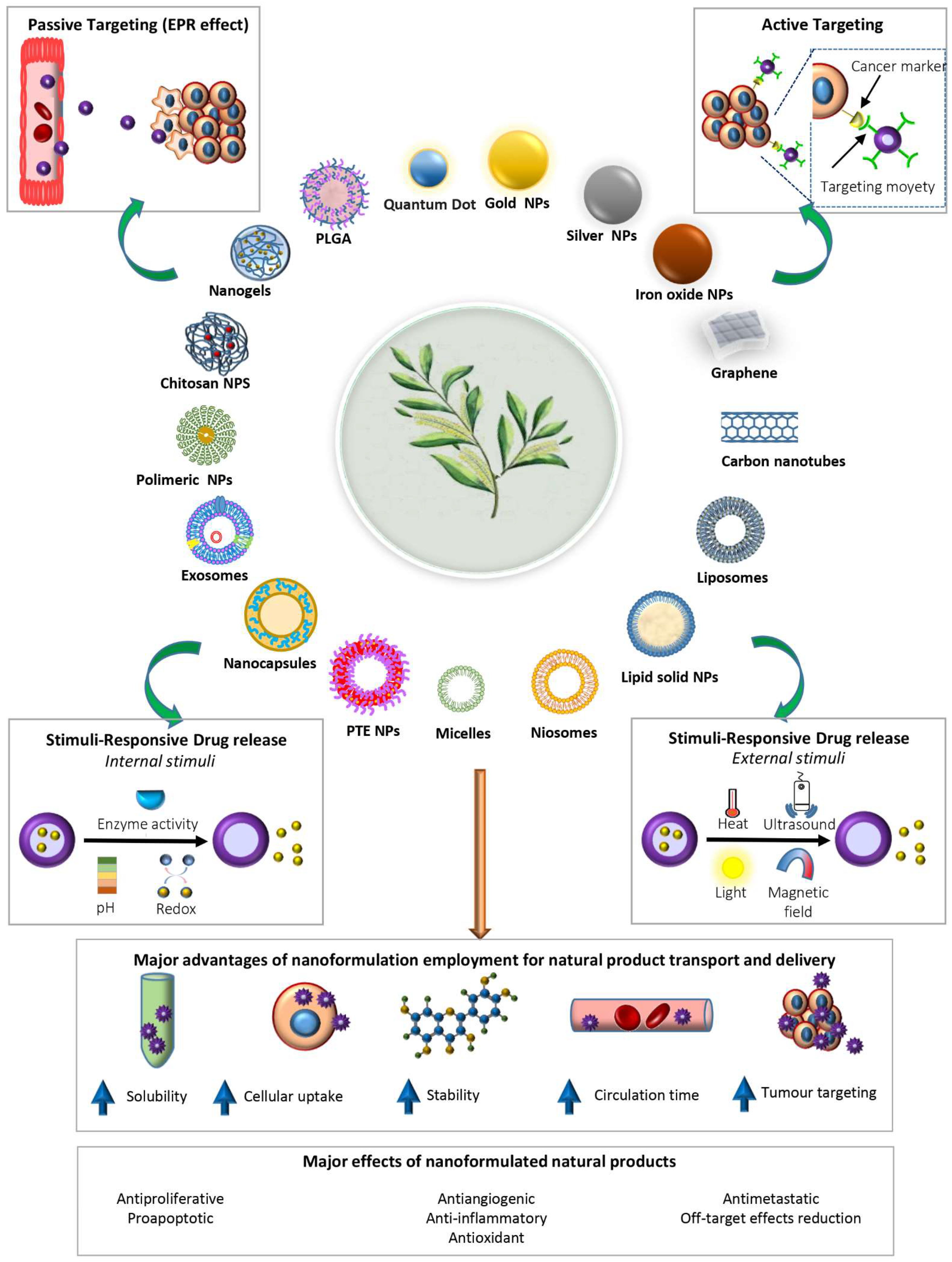 Phytocompounds and Nanoformulations for Anticancer Therapy