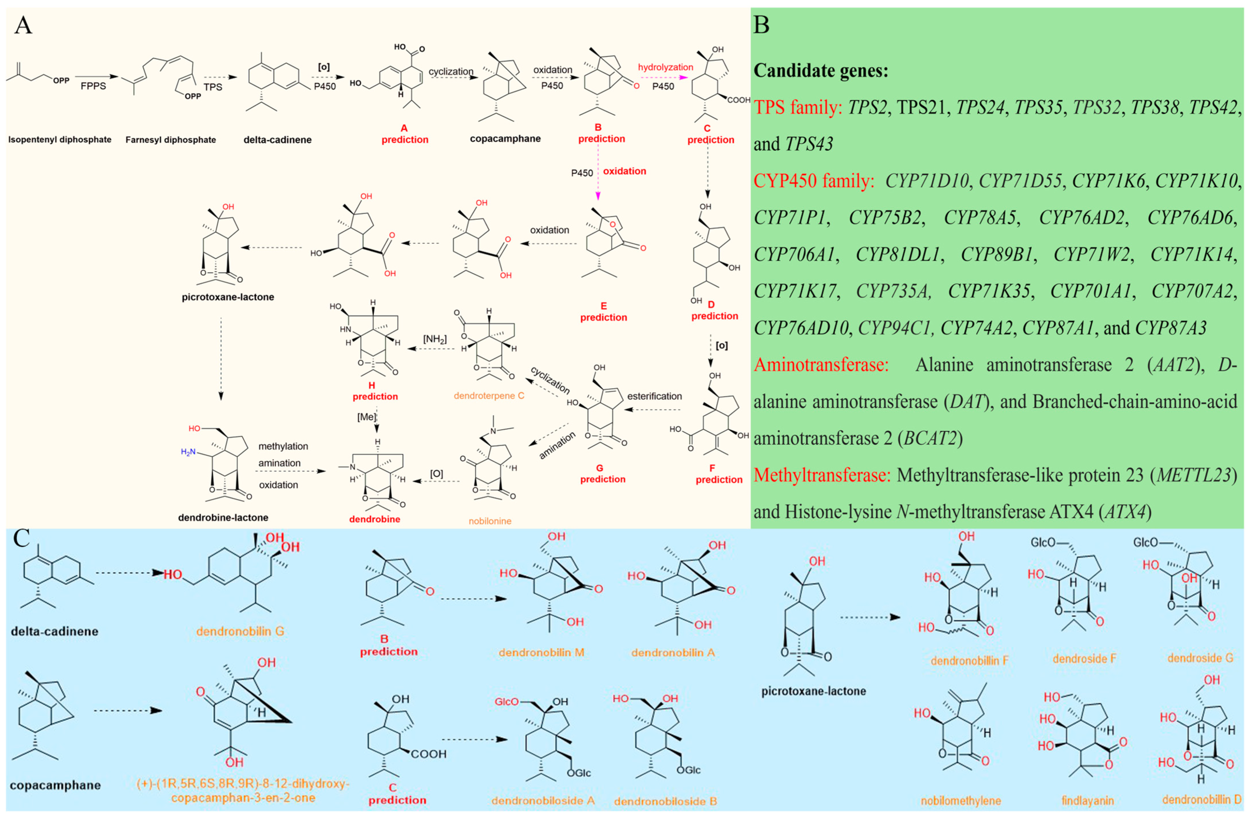 Molecules 29 03787 g004
