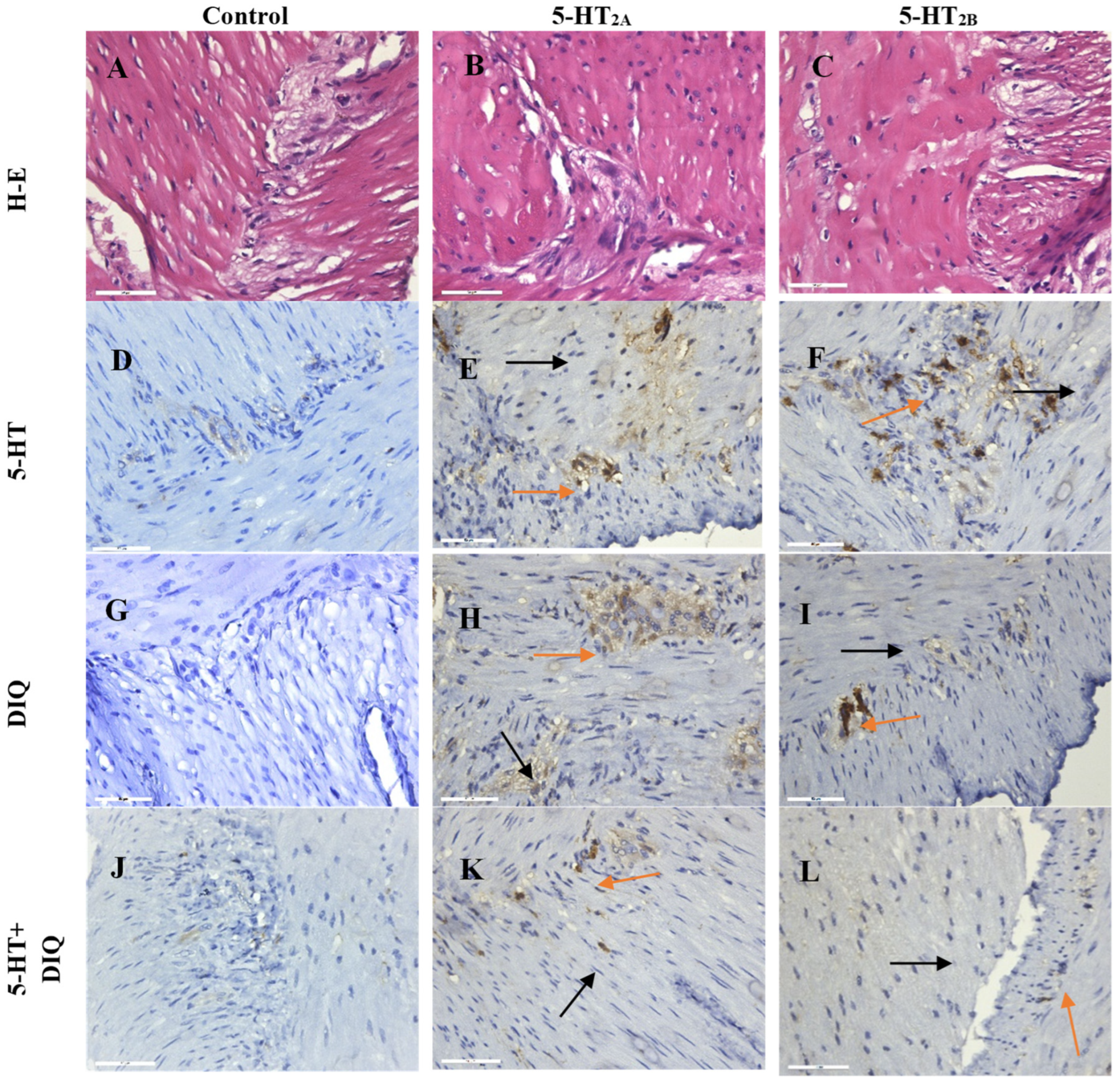 Molecules 29 03804 g005