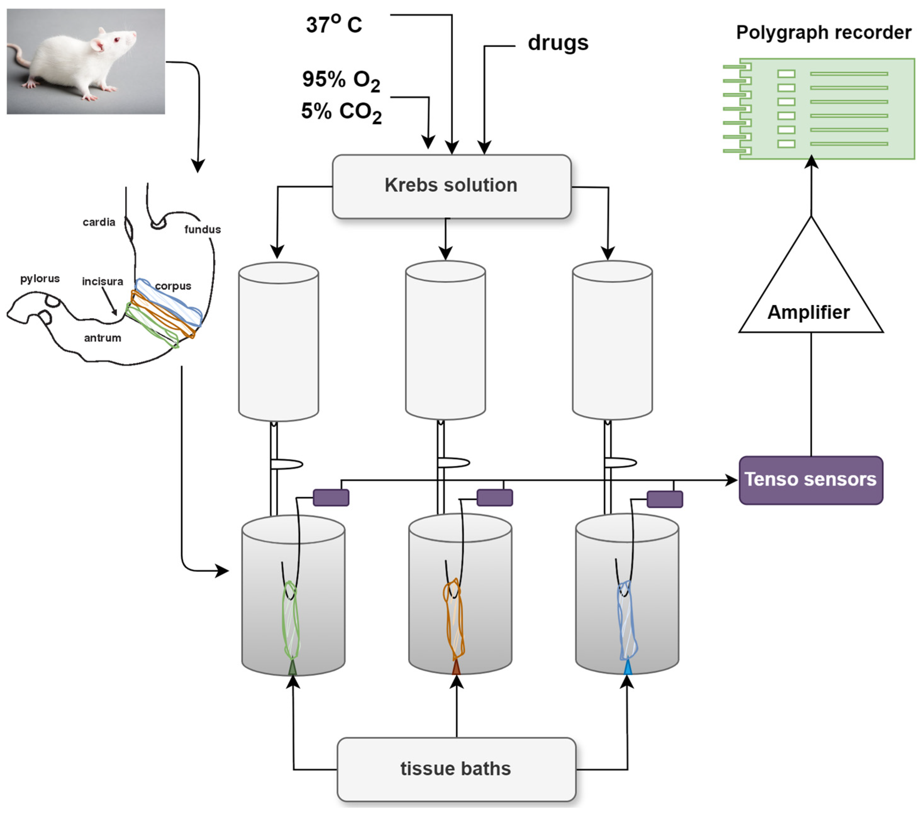 Molecules 29 03804 g007