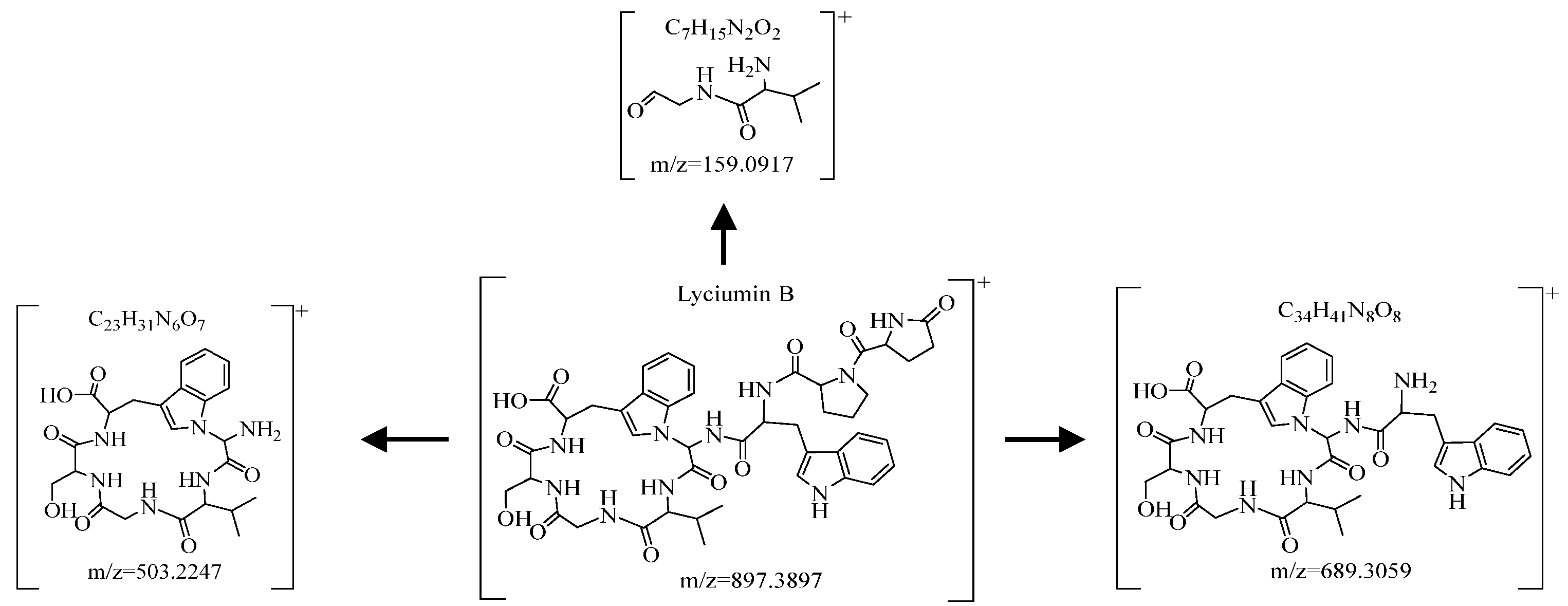 Molecules 29 03807 g007