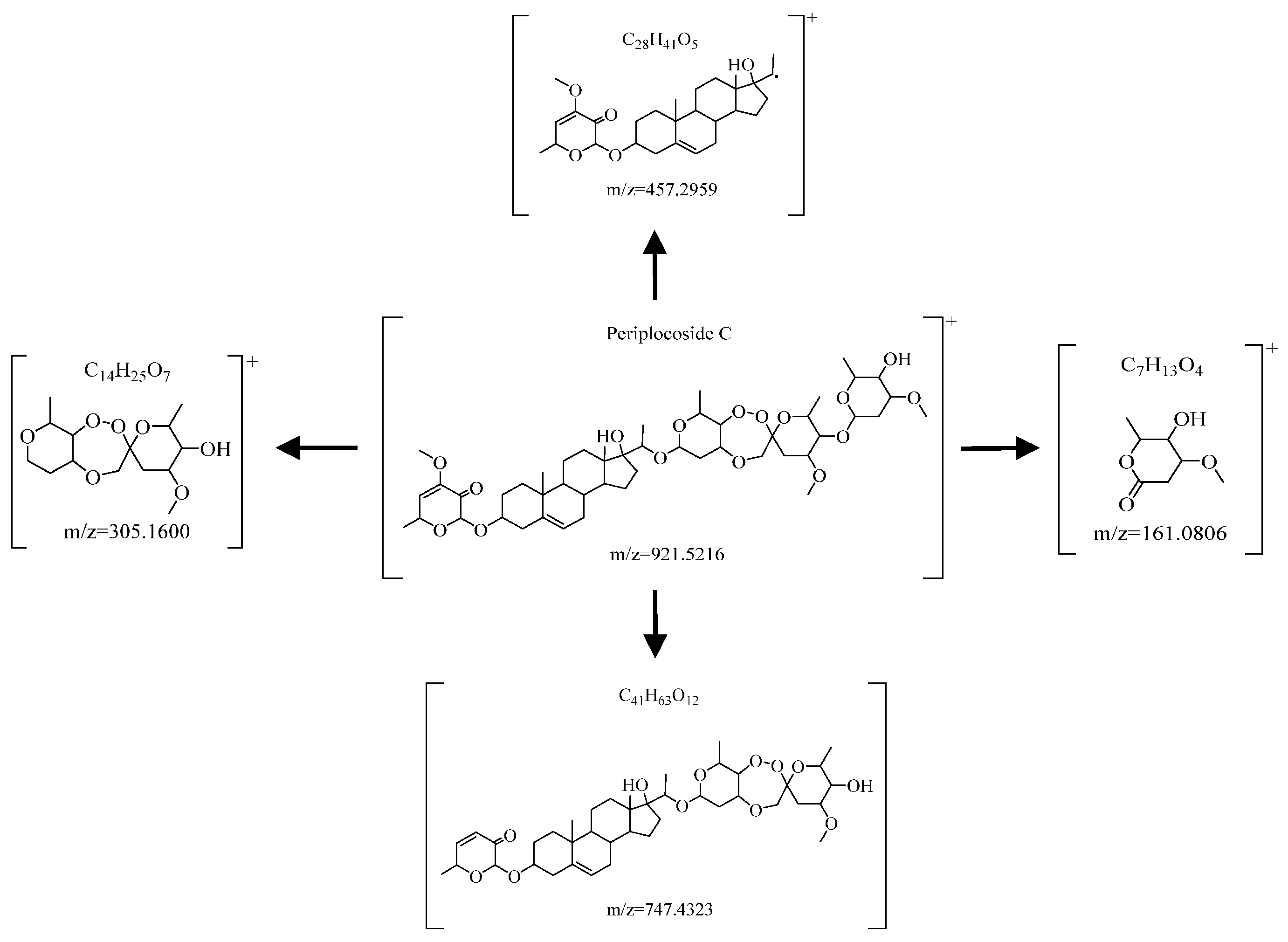 Molecules 29 03807 g008