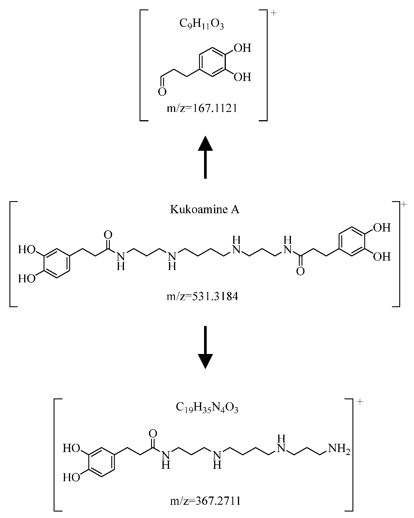 Molecules 29 03807 g009