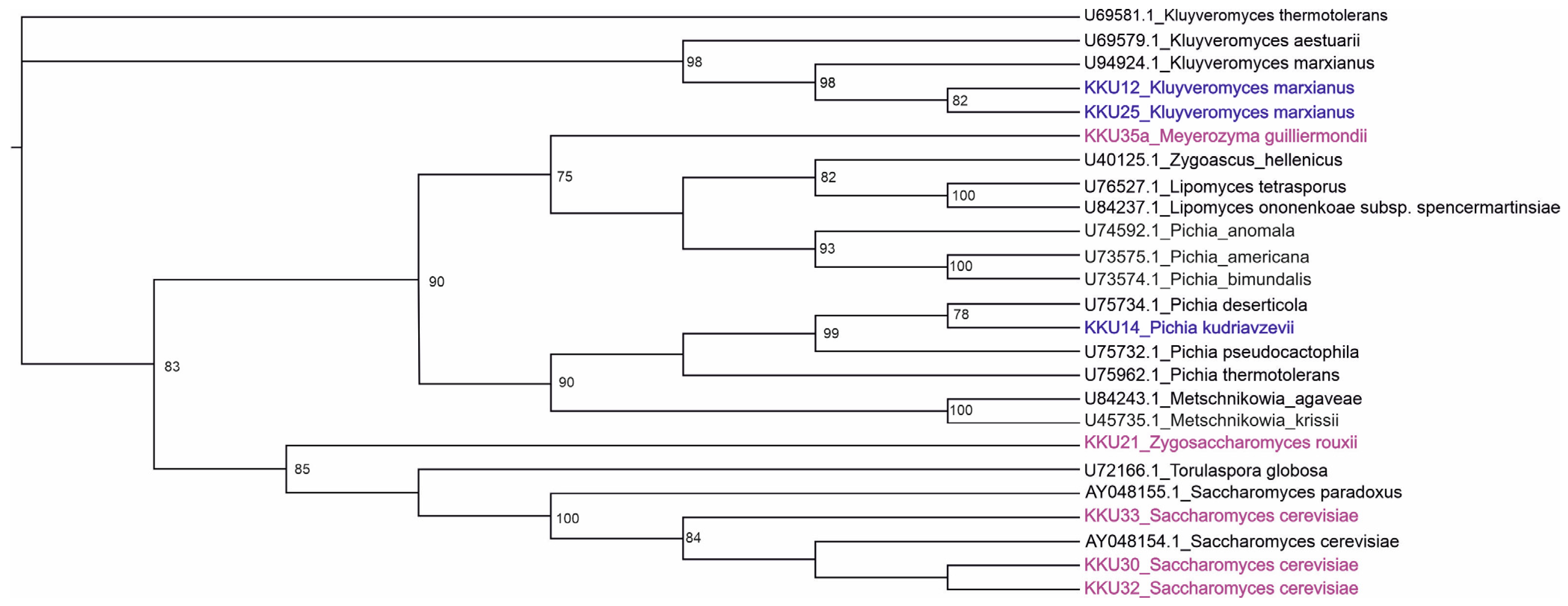 Molecules 29 03816 g001