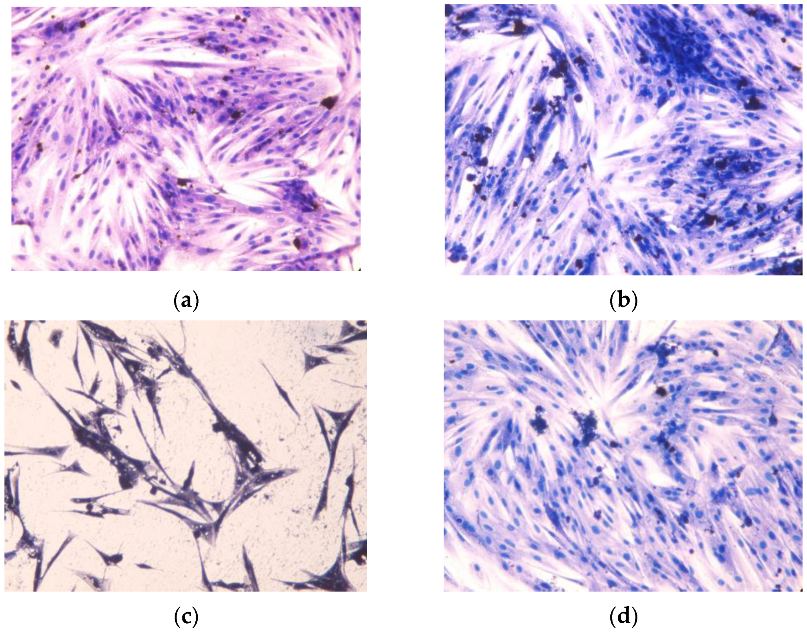 Molecules 29 03818 g013