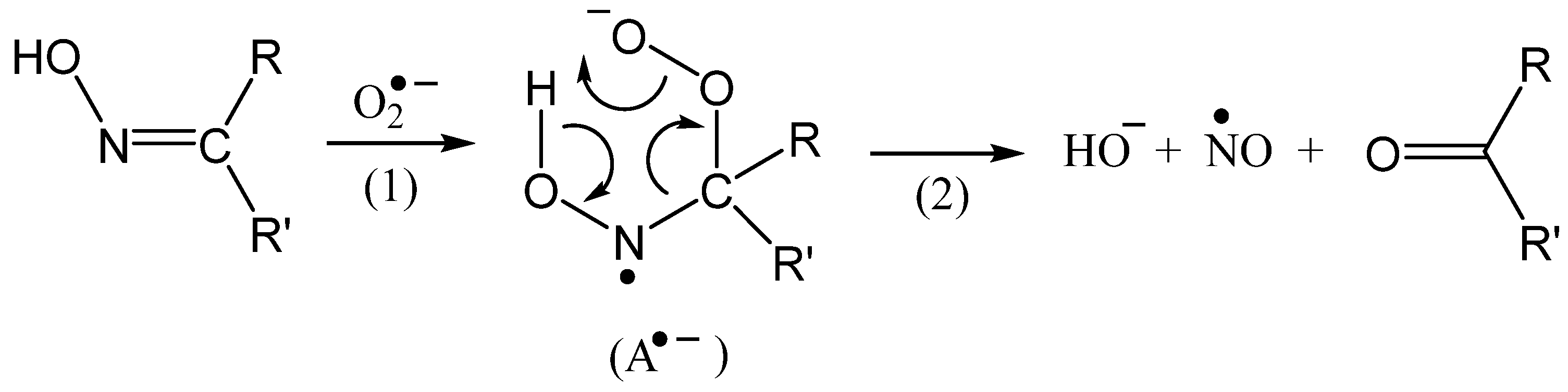 Molecules 29 03820 sch002 Molecules 29 03820 sch002