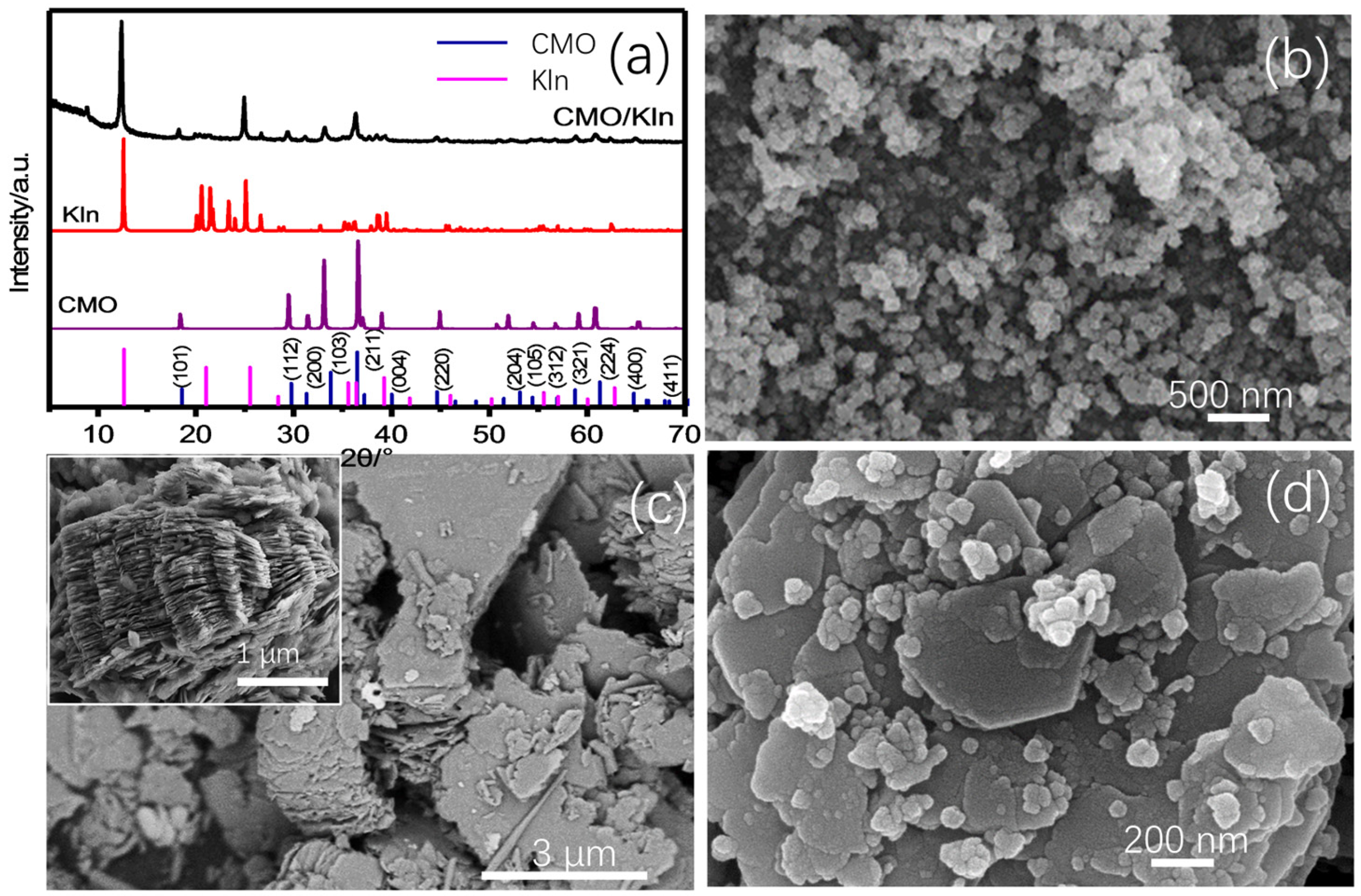 Molecules 29 03825 g001
