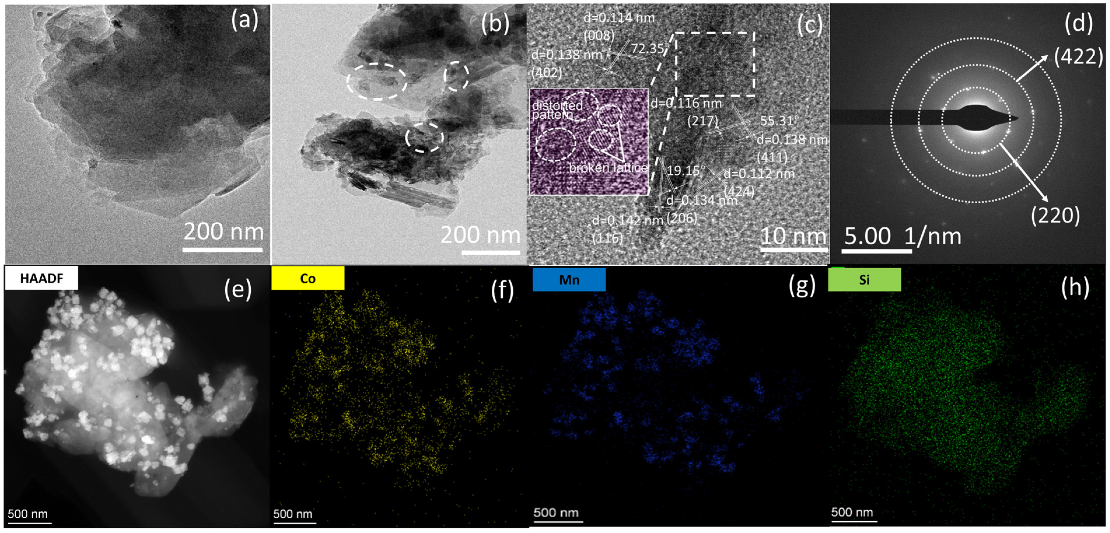 Molecules 29 03825 g002
