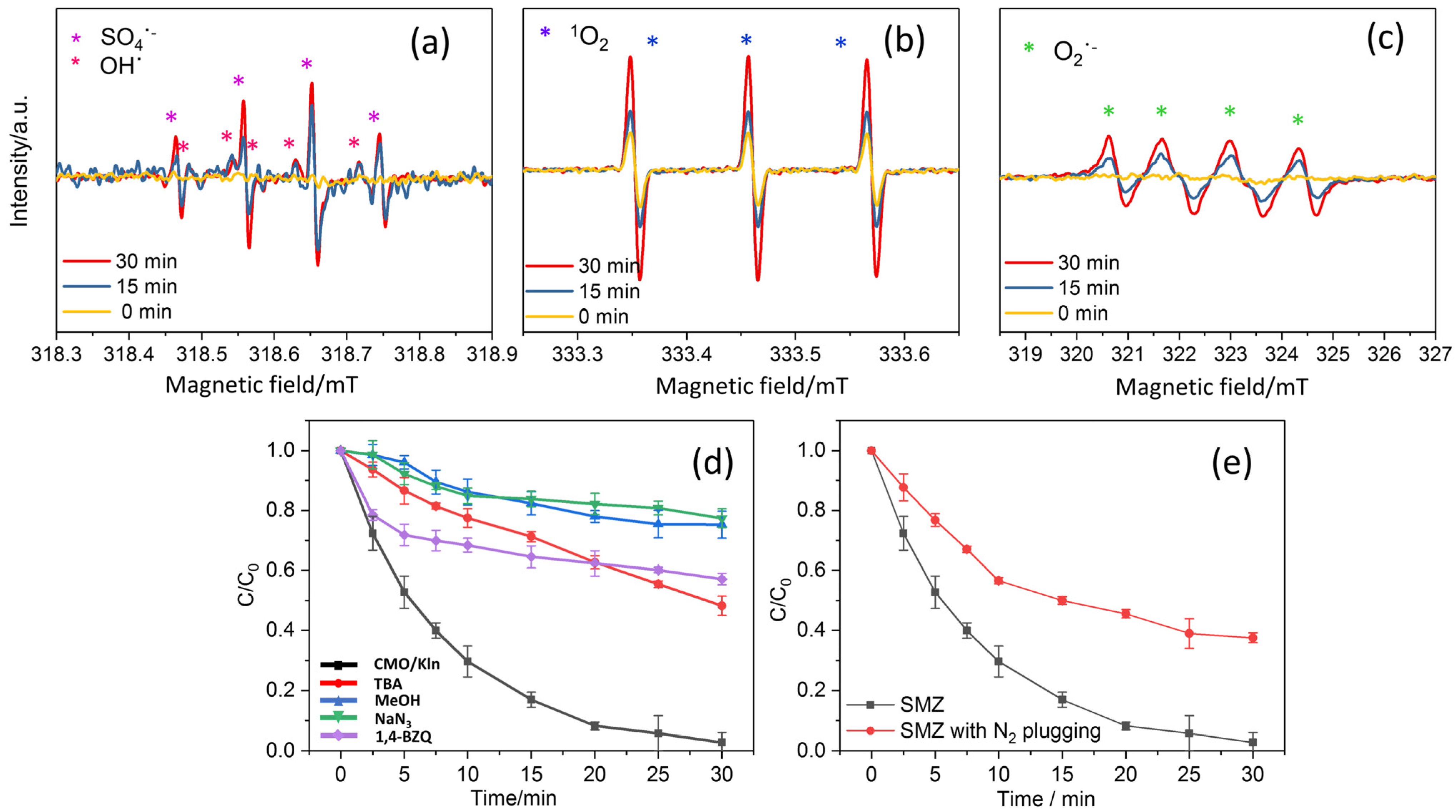 Molecules 29 03825 g007