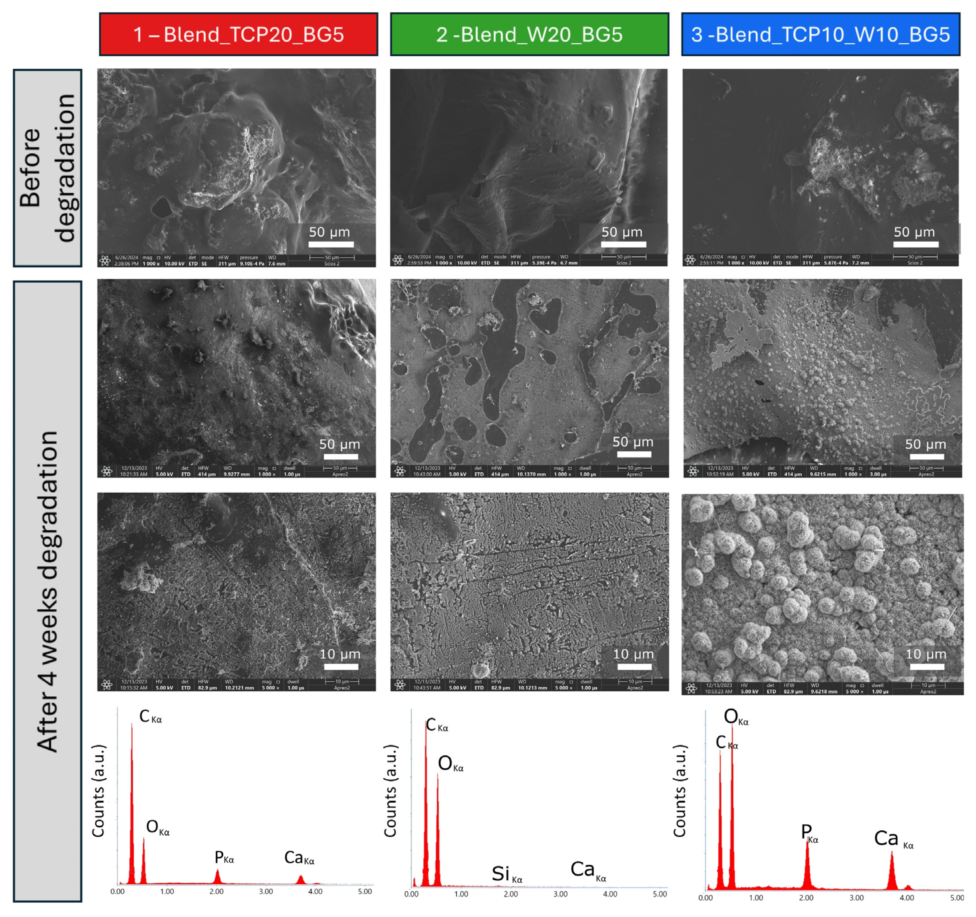 Molecules 29 03826 g007
