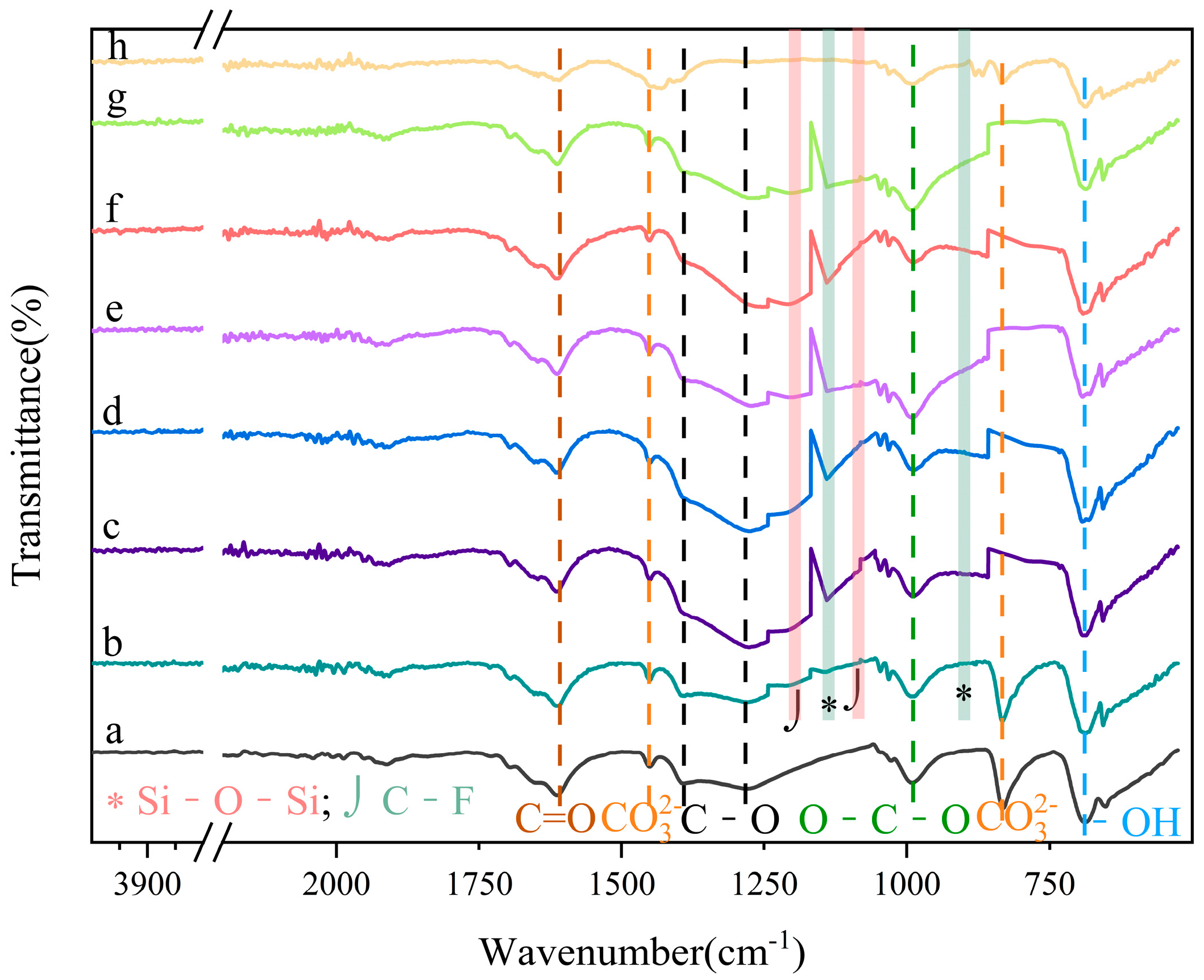 Molecules 29 03830 g005