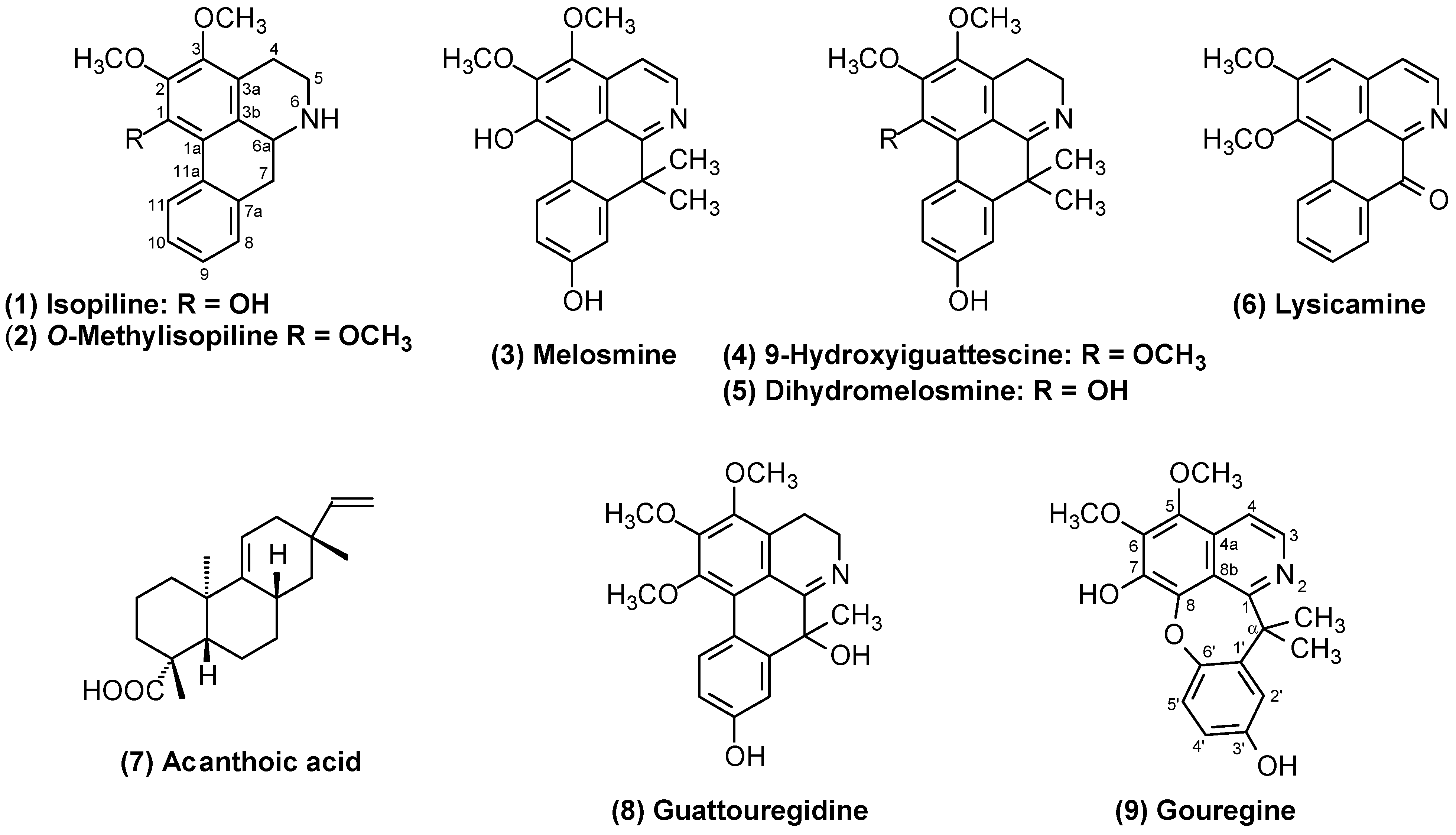 Molecules 29 03834 g001