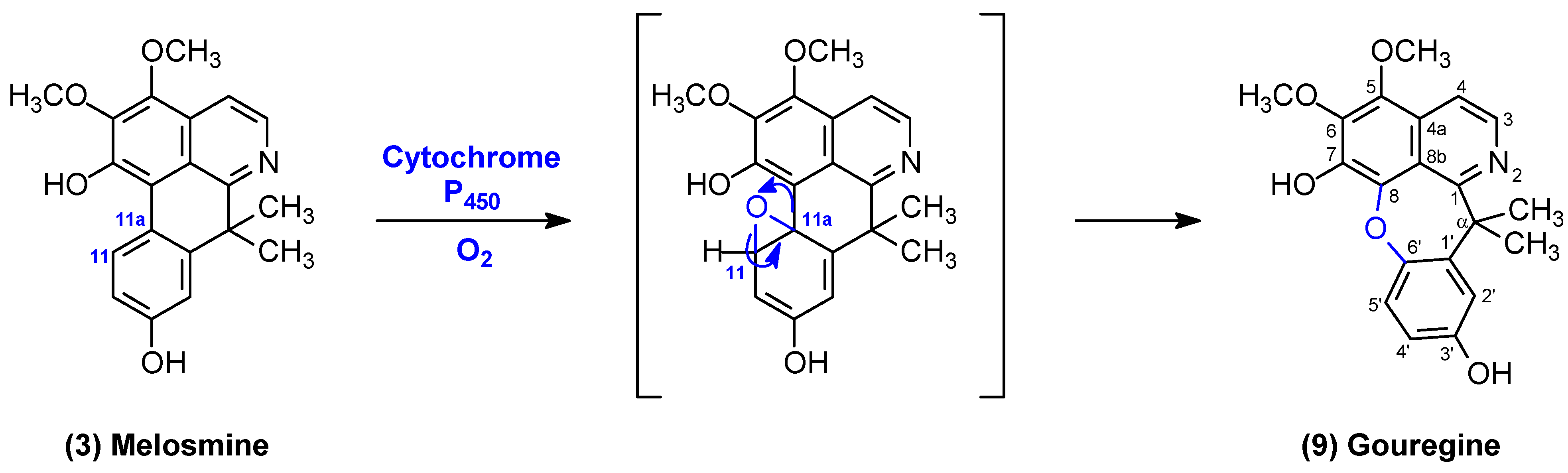 Molecules 29 03834 g003