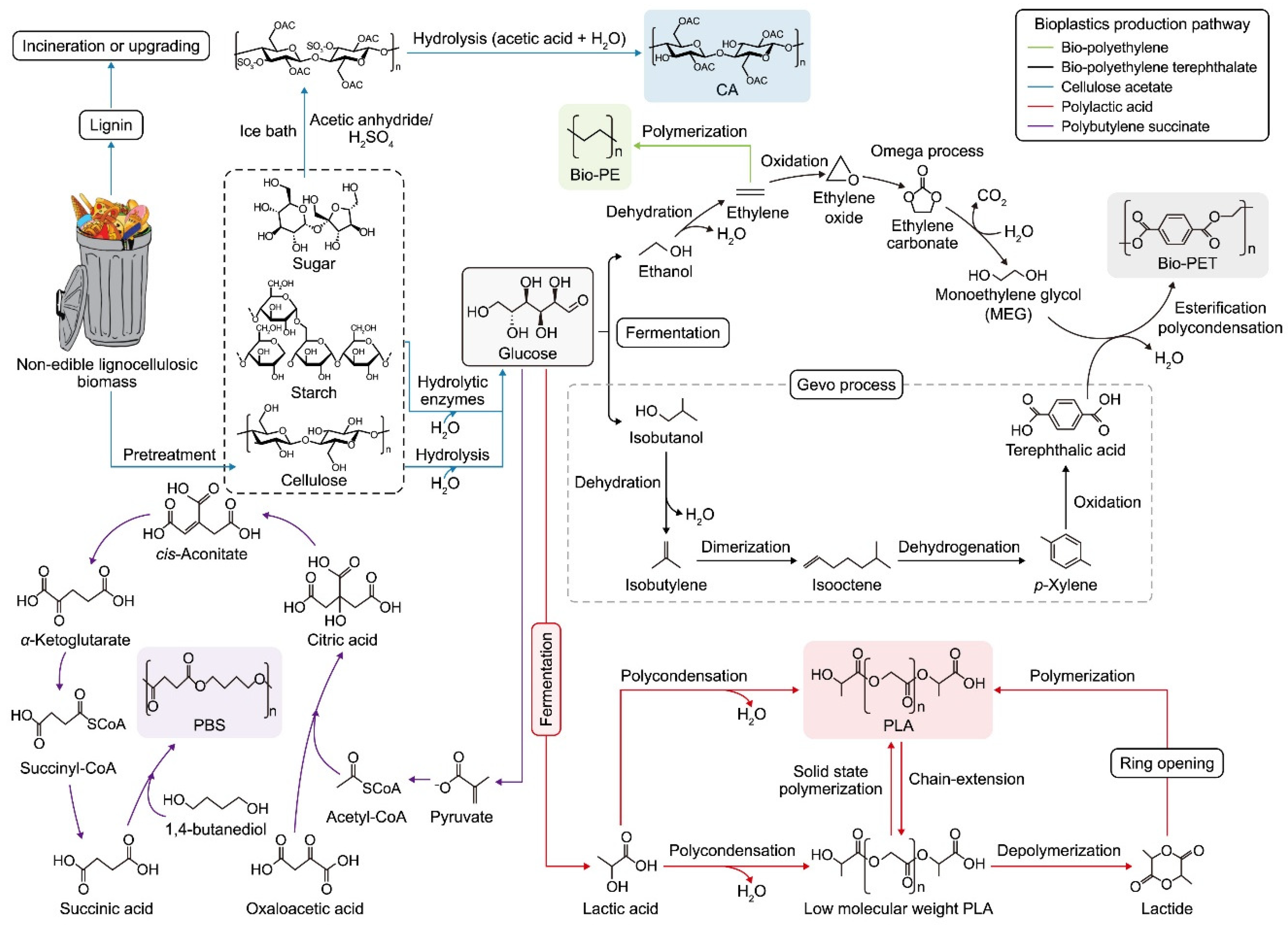 Molecules 29 03838 g002