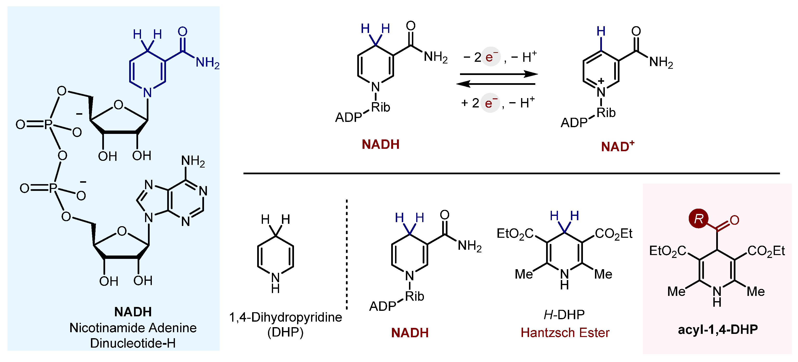 Molecules 29 03844 sch001