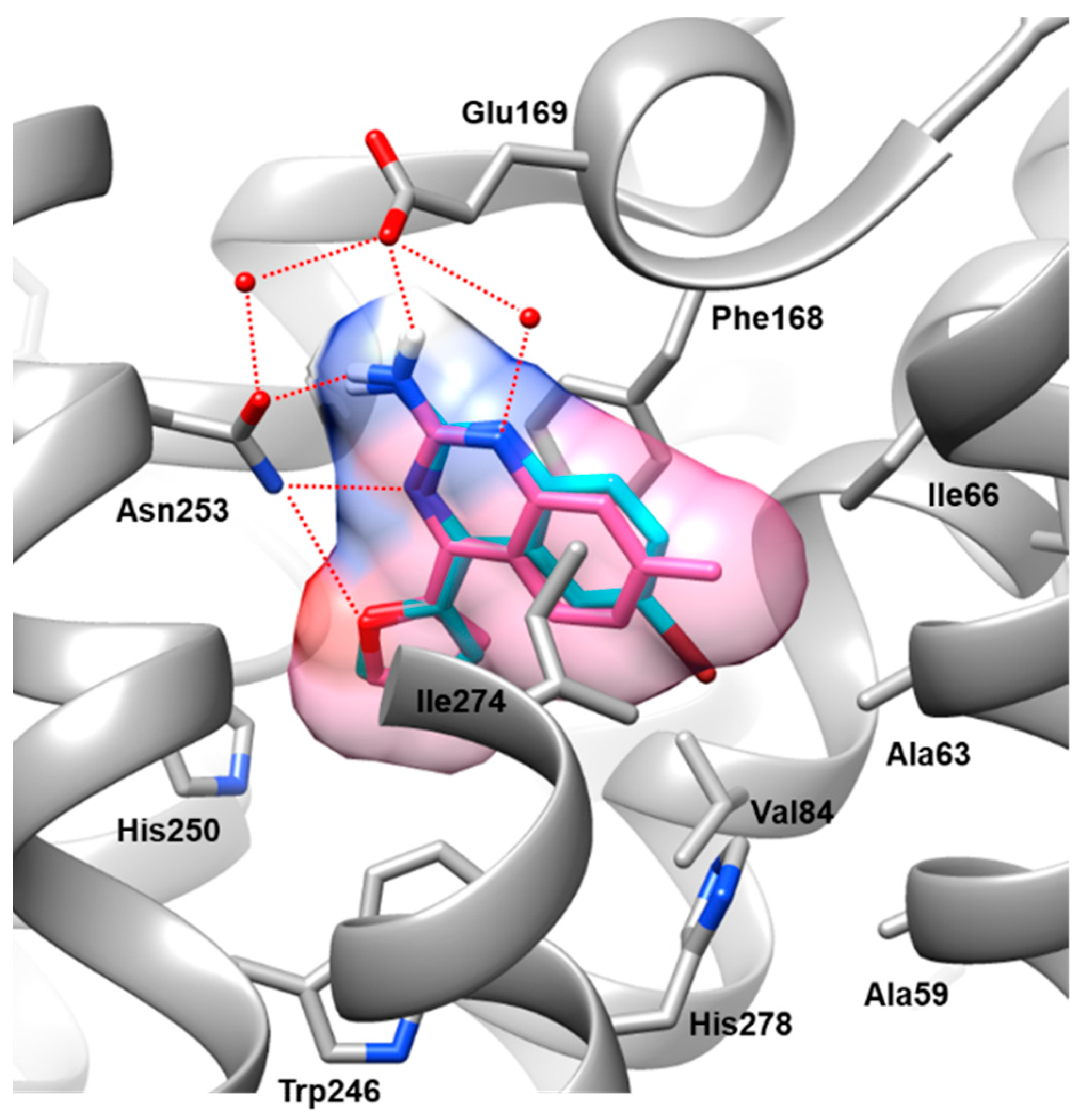 Molecules 29 03847 g003