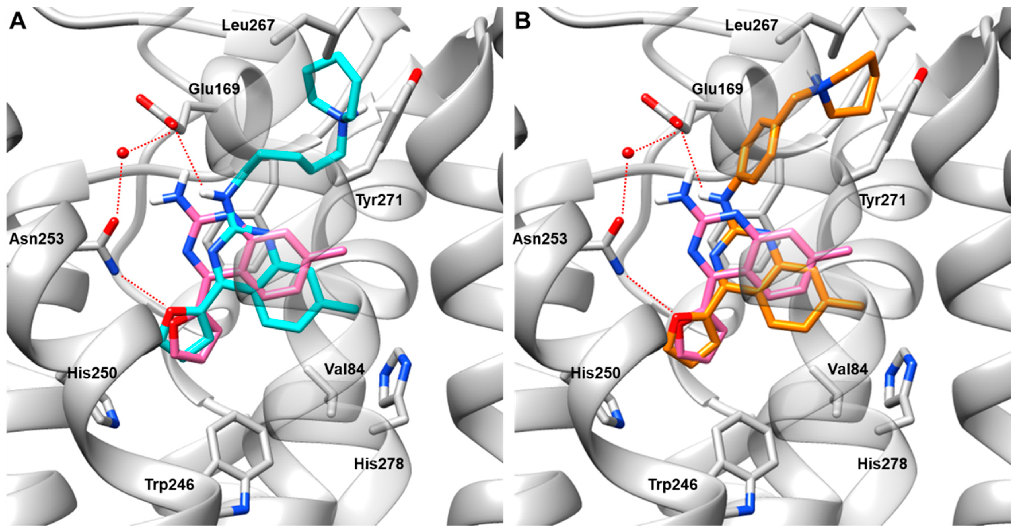 Molecules 29 03847 g005