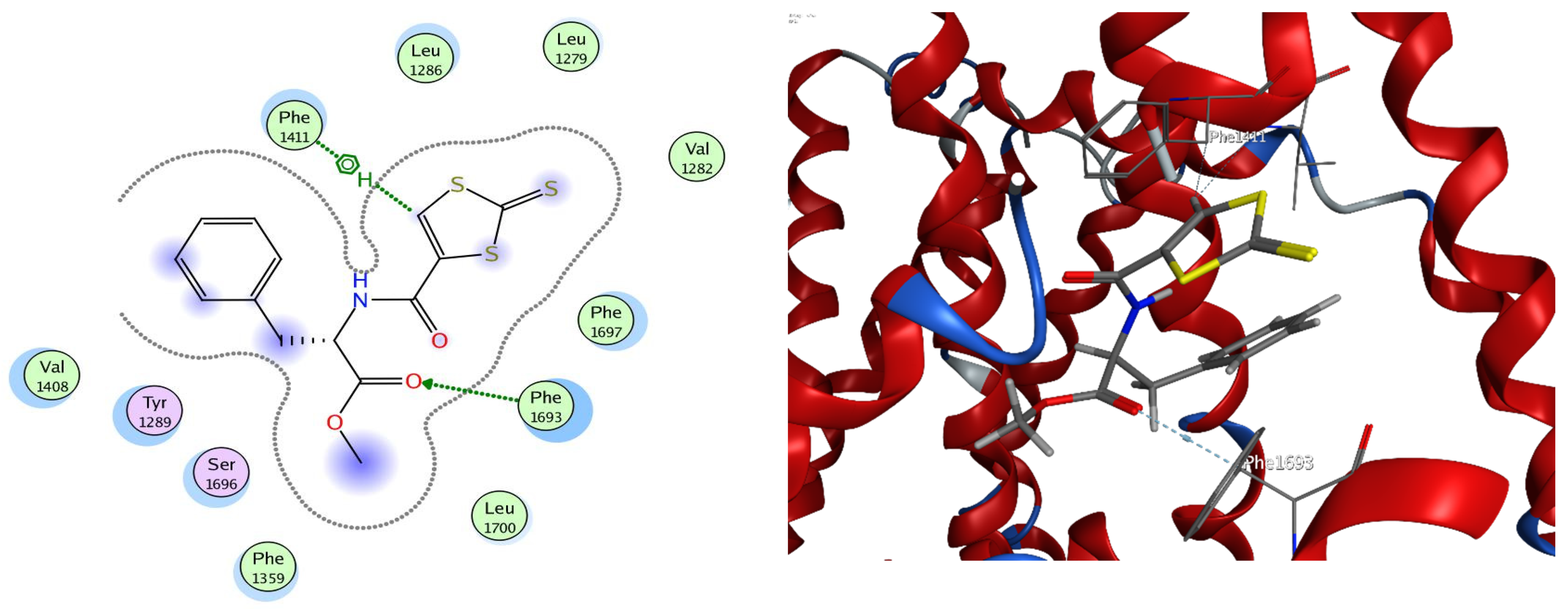 Molecules 29 03855 g004