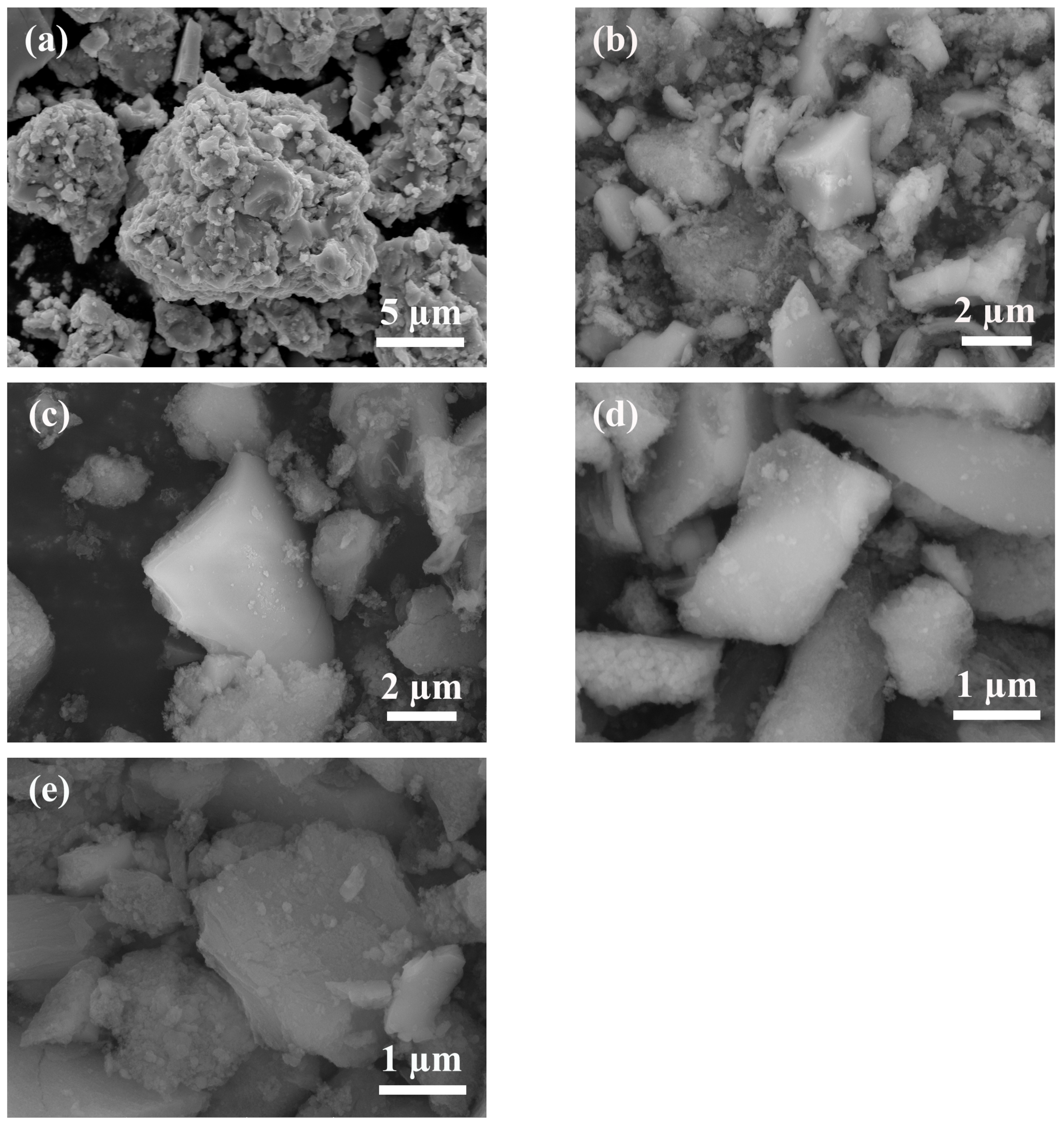 Molecules 29 03856 g004
