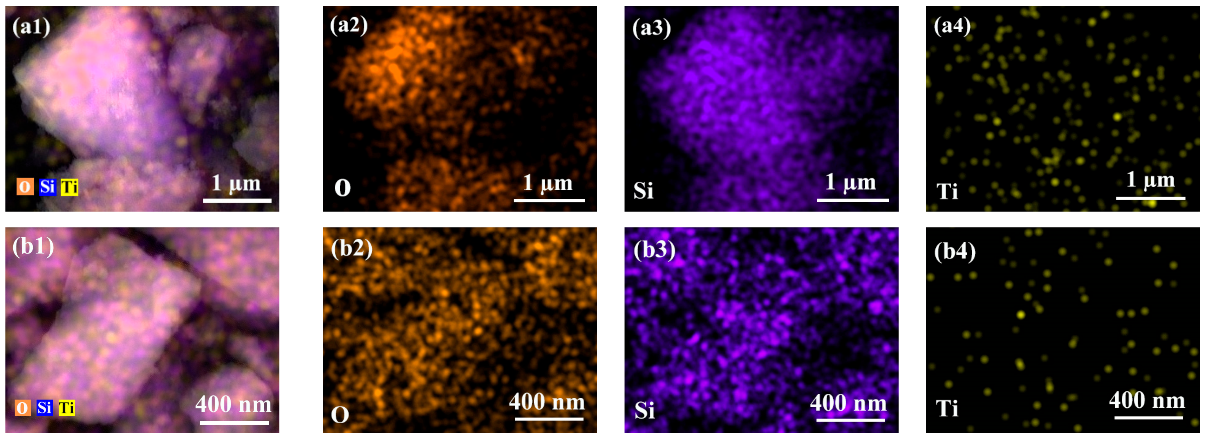 Molecules 29 03856 g005a